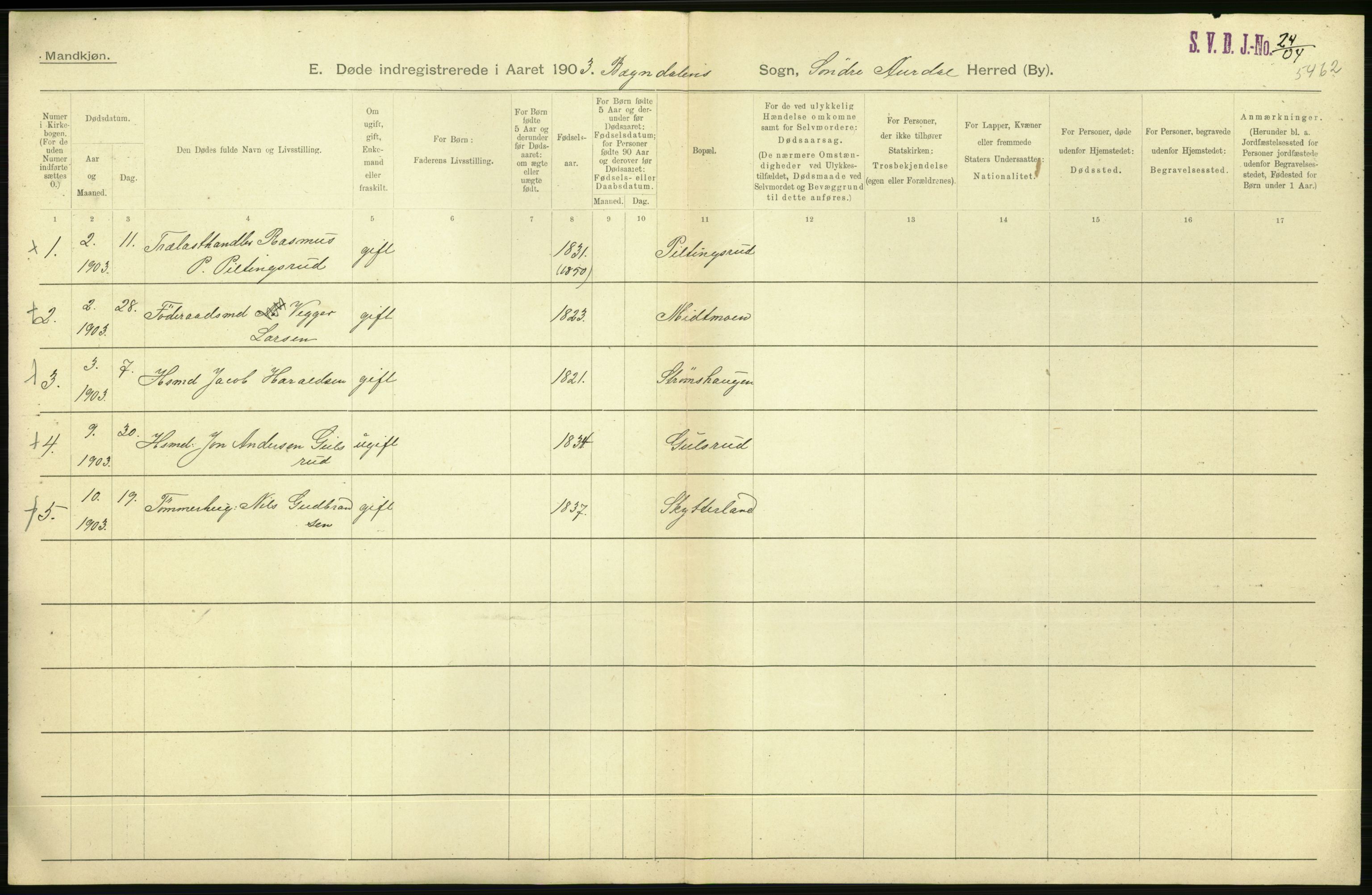 Statistisk sentralbyrå, Sosiodemografiske emner, Befolkning, AV/RA-S-2228/D/Df/Dfa/Dfaa/L0006: Kristians amt: Fødte, gifte, døde, 1903, p. 612