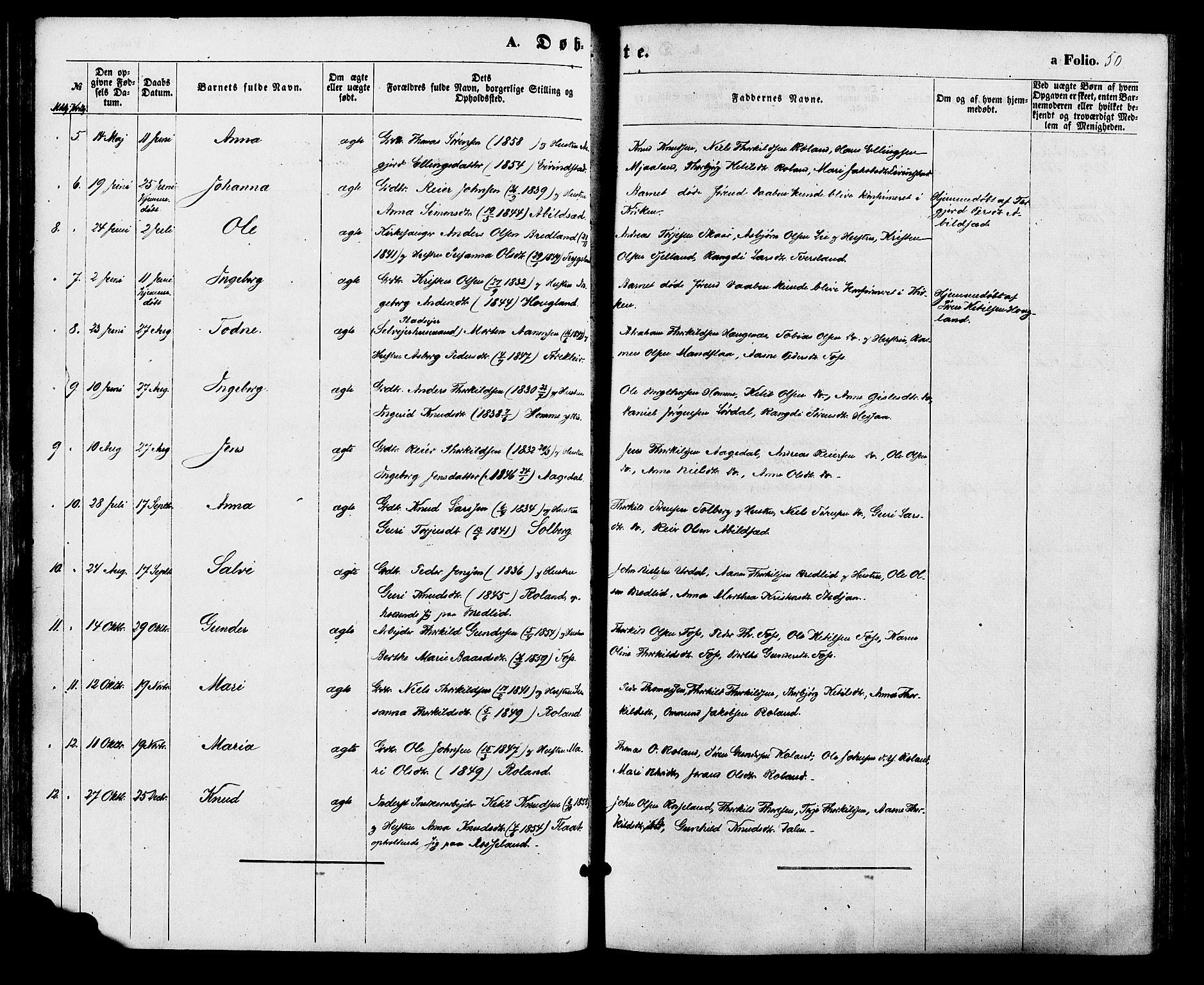 Bjelland sokneprestkontor, SAK/1111-0005/F/Fa/Faa/L0003: Parish register (official) no. A 3, 1867-1887, p. 50