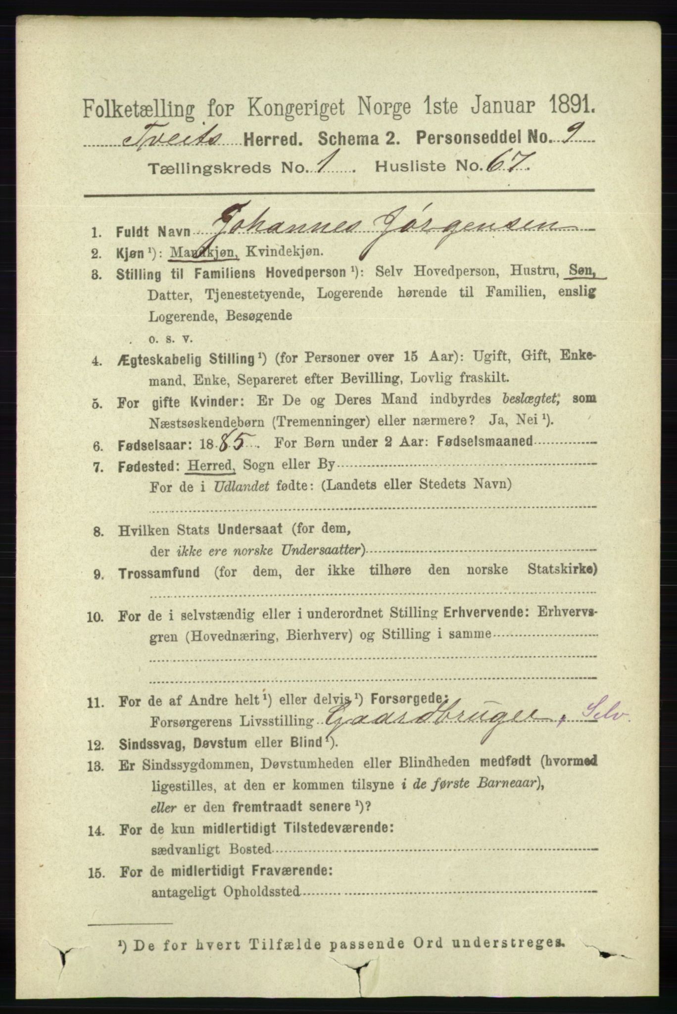 RA, 1891 census for 1013 Tveit, 1891, p. 410