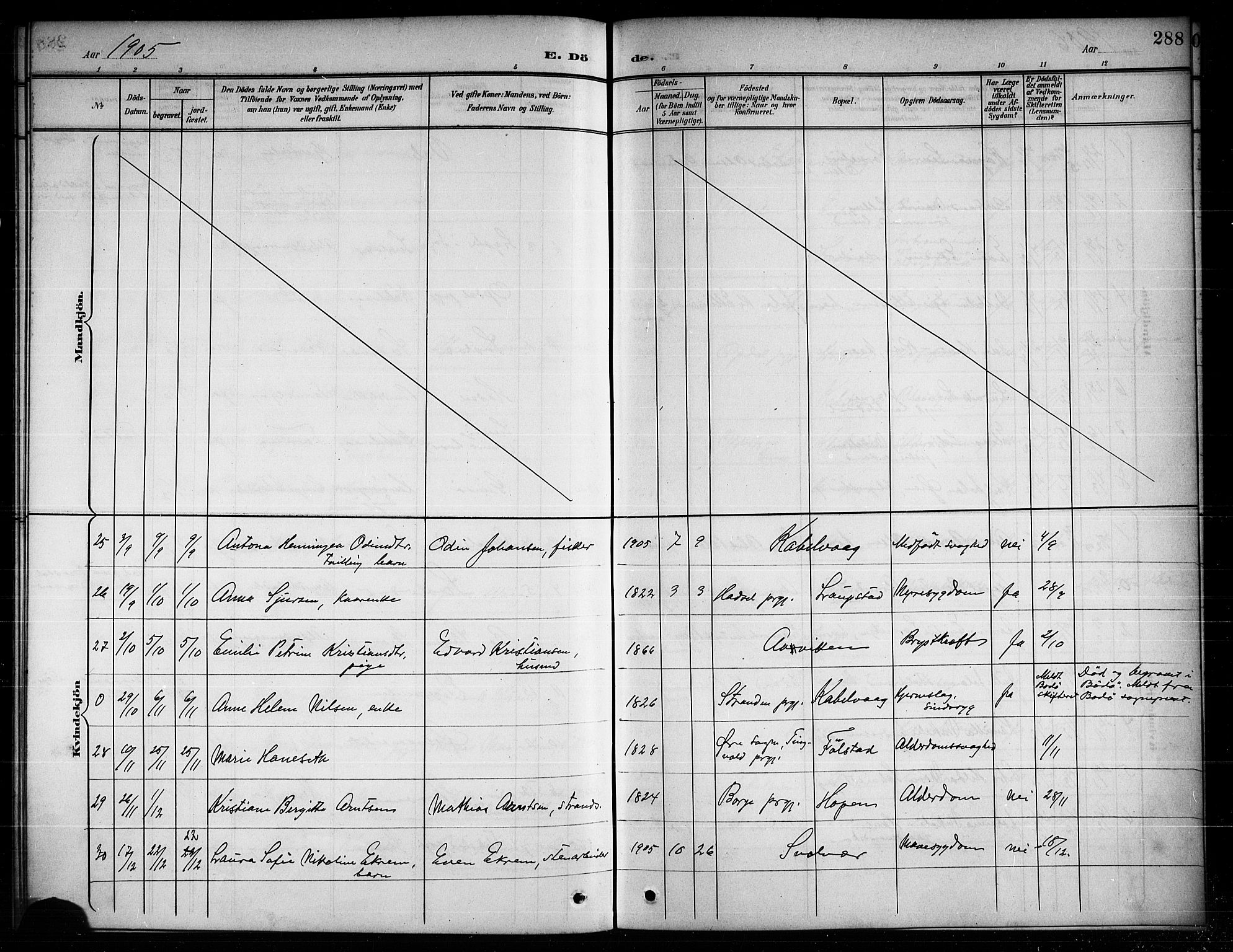 Ministerialprotokoller, klokkerbøker og fødselsregistre - Nordland, SAT/A-1459/874/L1078: Parish register (copy) no. 874C07, 1900-1907, p. 288