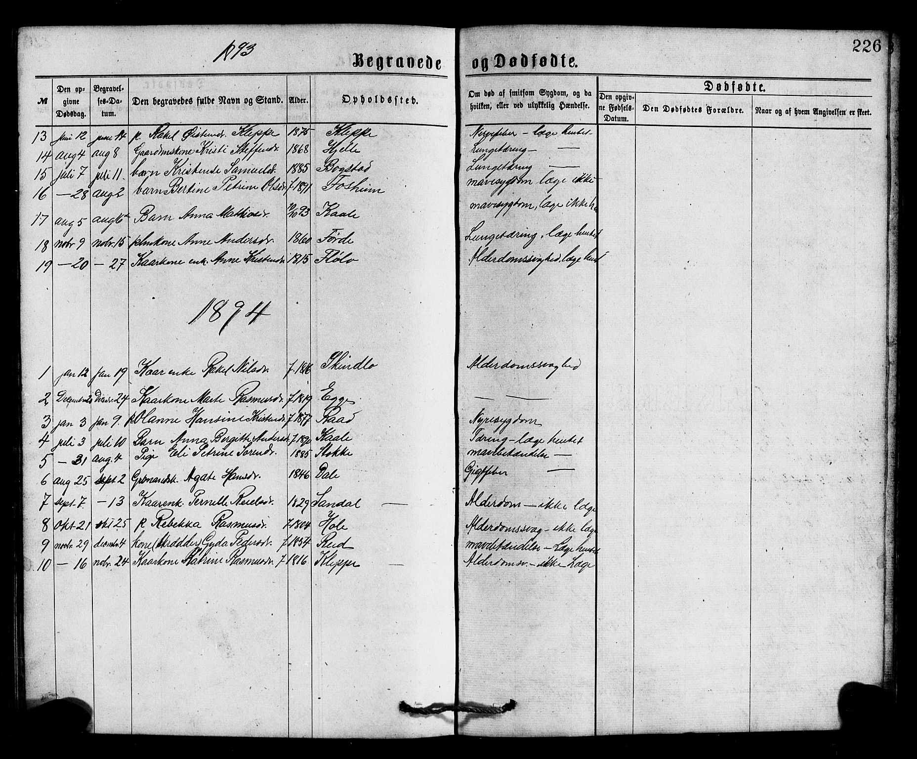 Gloppen sokneprestembete, SAB/A-80101/H/Hab/Habc/L0001: Parish register (copy) no. C 1, 1872-1896, p. 226