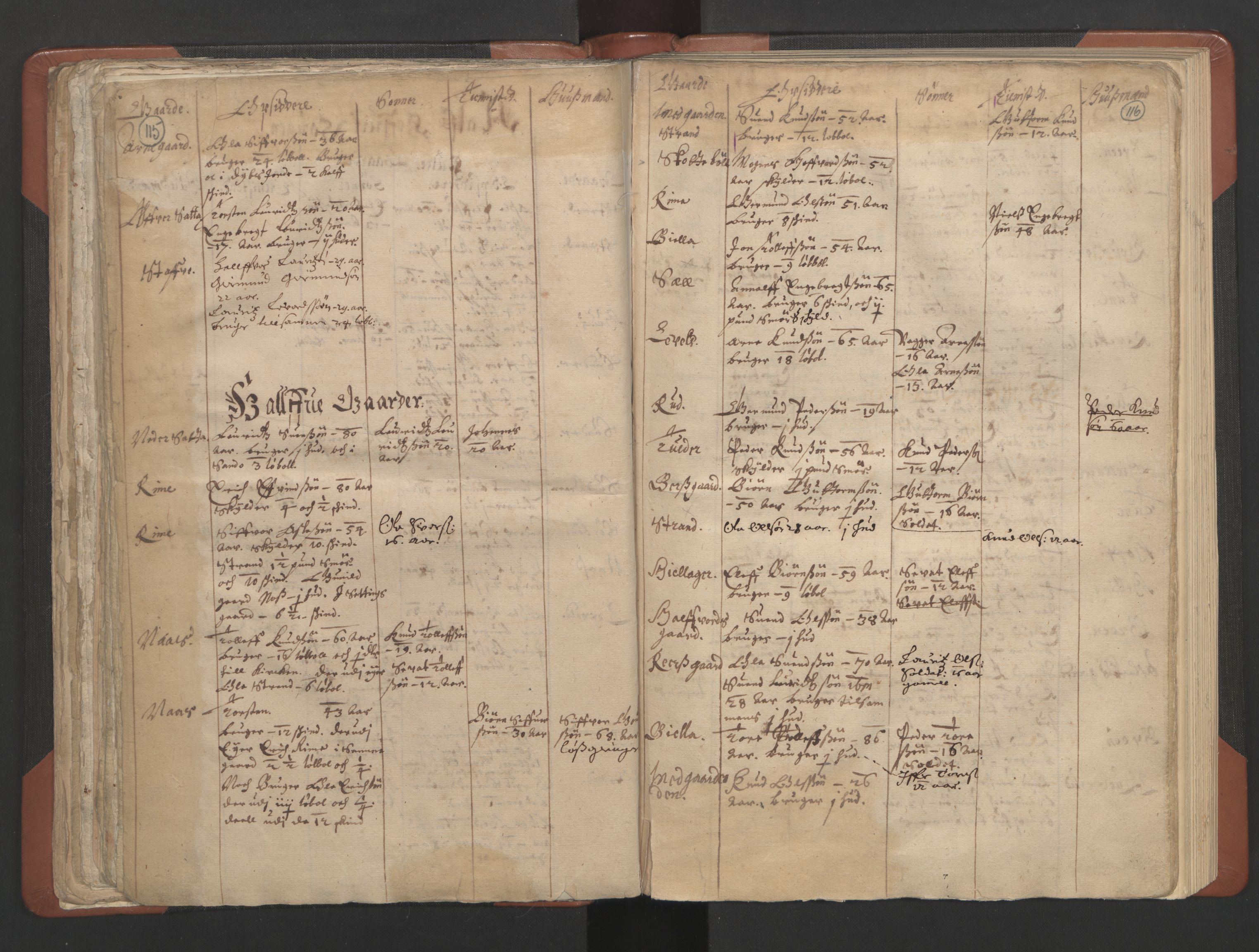 RA, Vicar's Census 1664-1666, no. 8: Valdres deanery, 1664-1666, p. 115-116