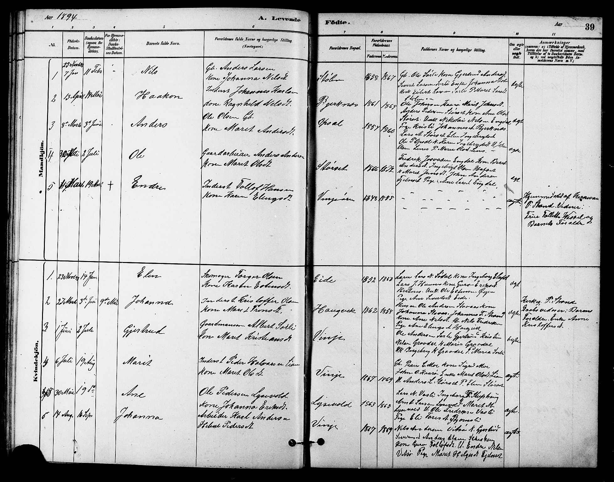 Ministerialprotokoller, klokkerbøker og fødselsregistre - Sør-Trøndelag, SAT/A-1456/631/L0514: Parish register (copy) no. 631C02, 1879-1912, p. 39