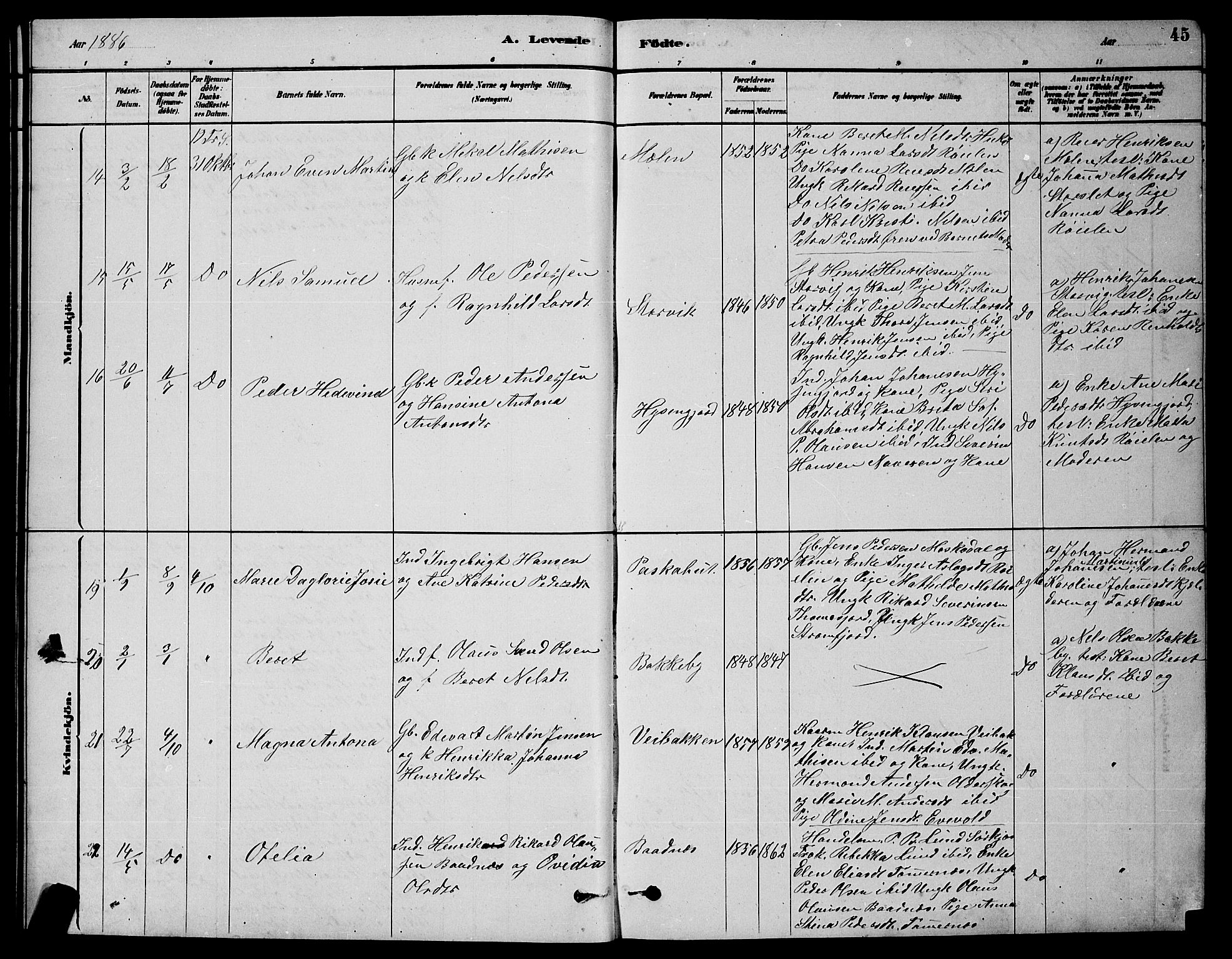 Skjervøy sokneprestkontor, AV/SATØ-S-1300/H/Ha/Hab/L0020klokker: Parish register (copy) no. 20, 1878-1892, p. 45