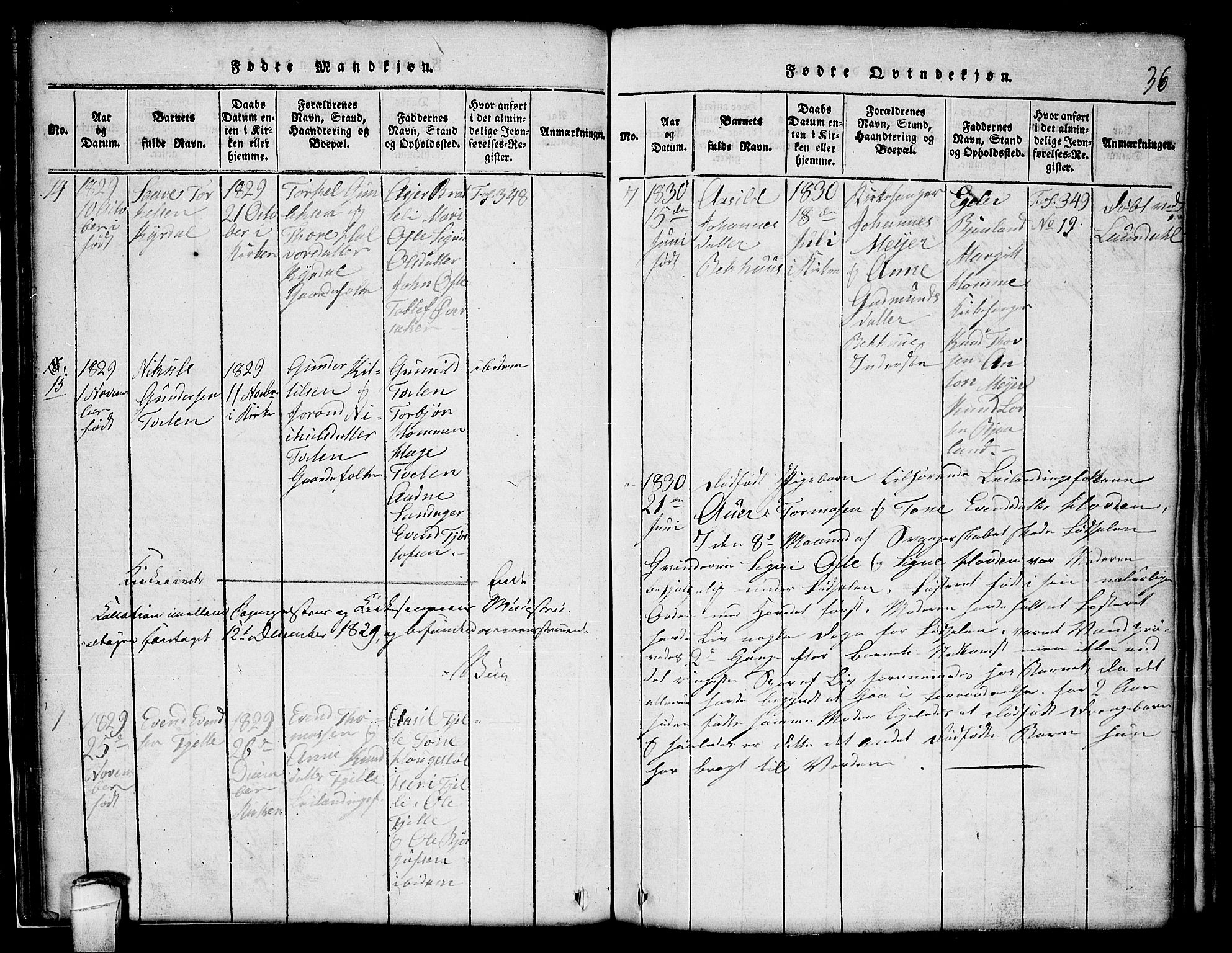 Lårdal kirkebøker, AV/SAKO-A-284/G/Gc/L0001: Parish register (copy) no. III 1, 1815-1854, p. 36