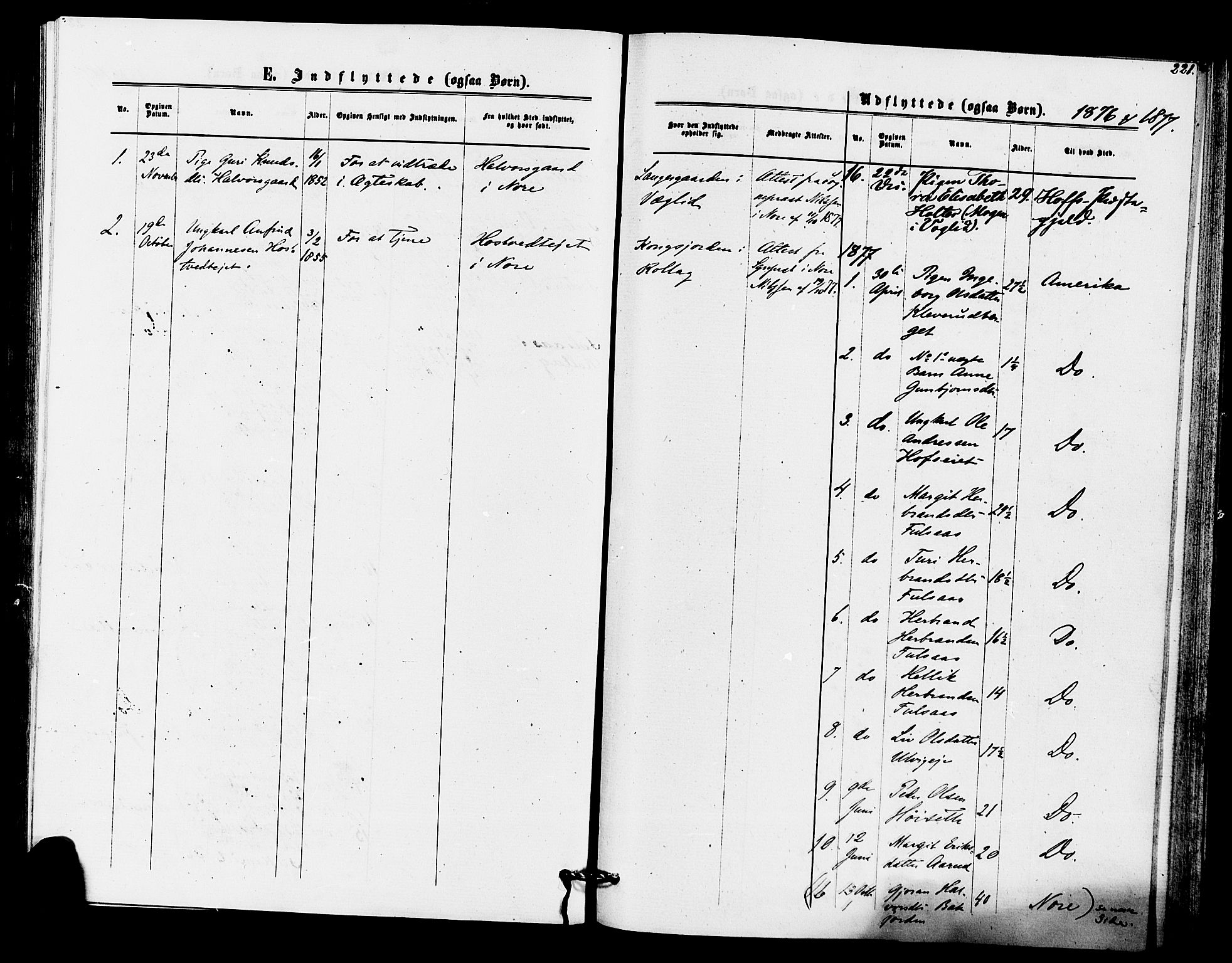 Rollag kirkebøker, SAKO/A-240/F/Fa/L0010: Parish register (official) no. I 10, 1874-1877, p. 221