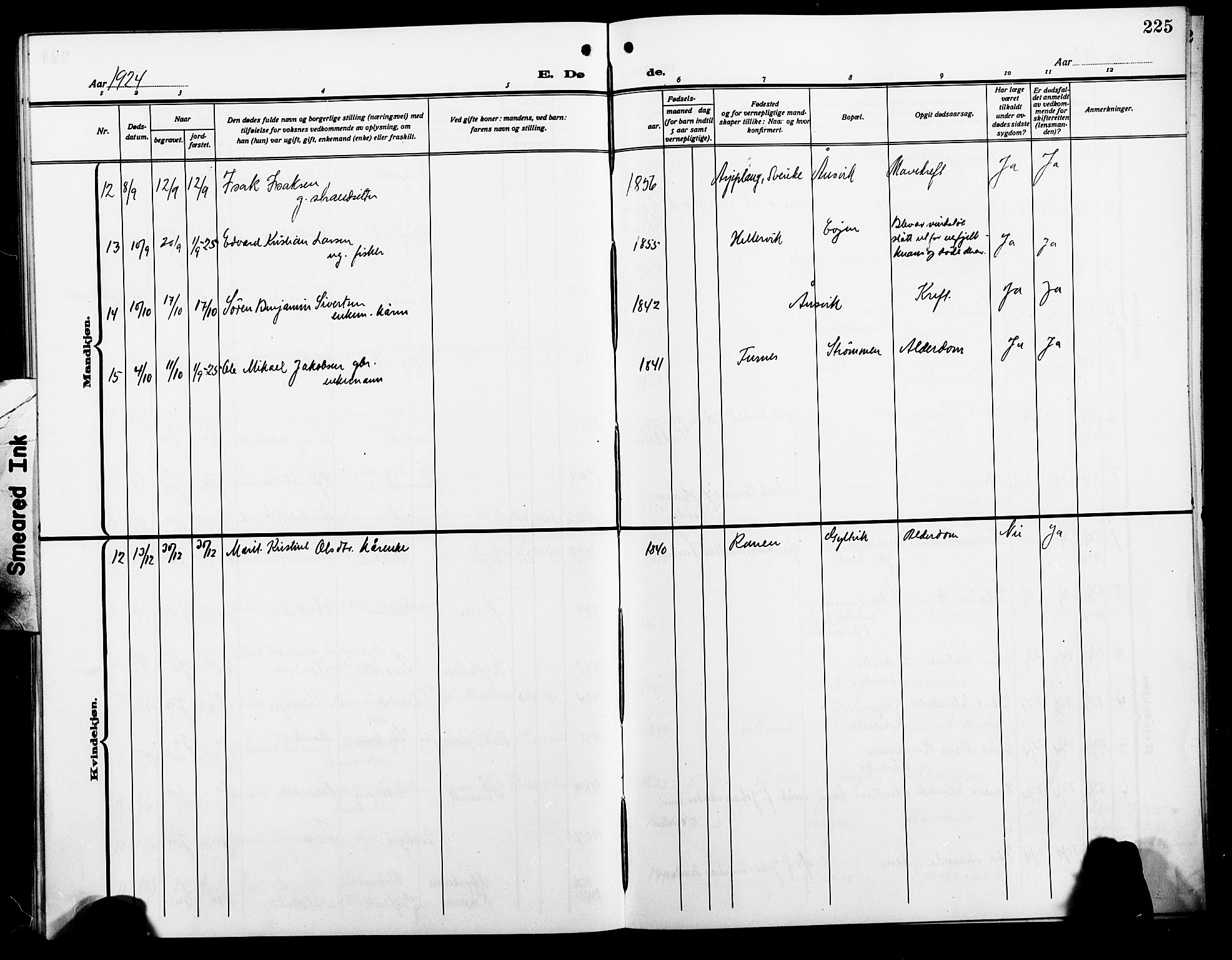 Ministerialprotokoller, klokkerbøker og fødselsregistre - Nordland, AV/SAT-A-1459/854/L0787: Parish register (copy) no. 854C03, 1913-1926, p. 225