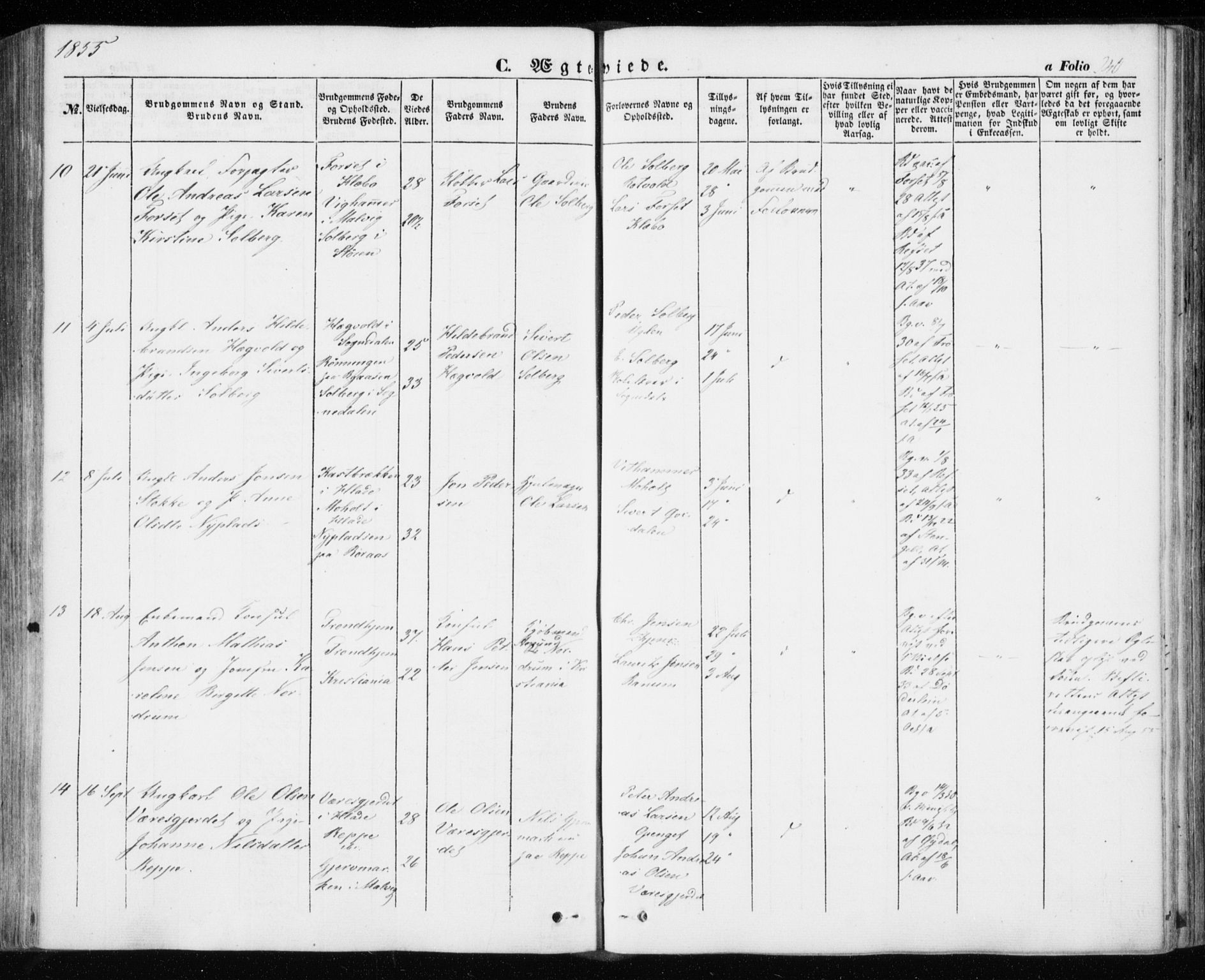 Ministerialprotokoller, klokkerbøker og fødselsregistre - Sør-Trøndelag, AV/SAT-A-1456/606/L0291: Parish register (official) no. 606A06, 1848-1856, p. 240