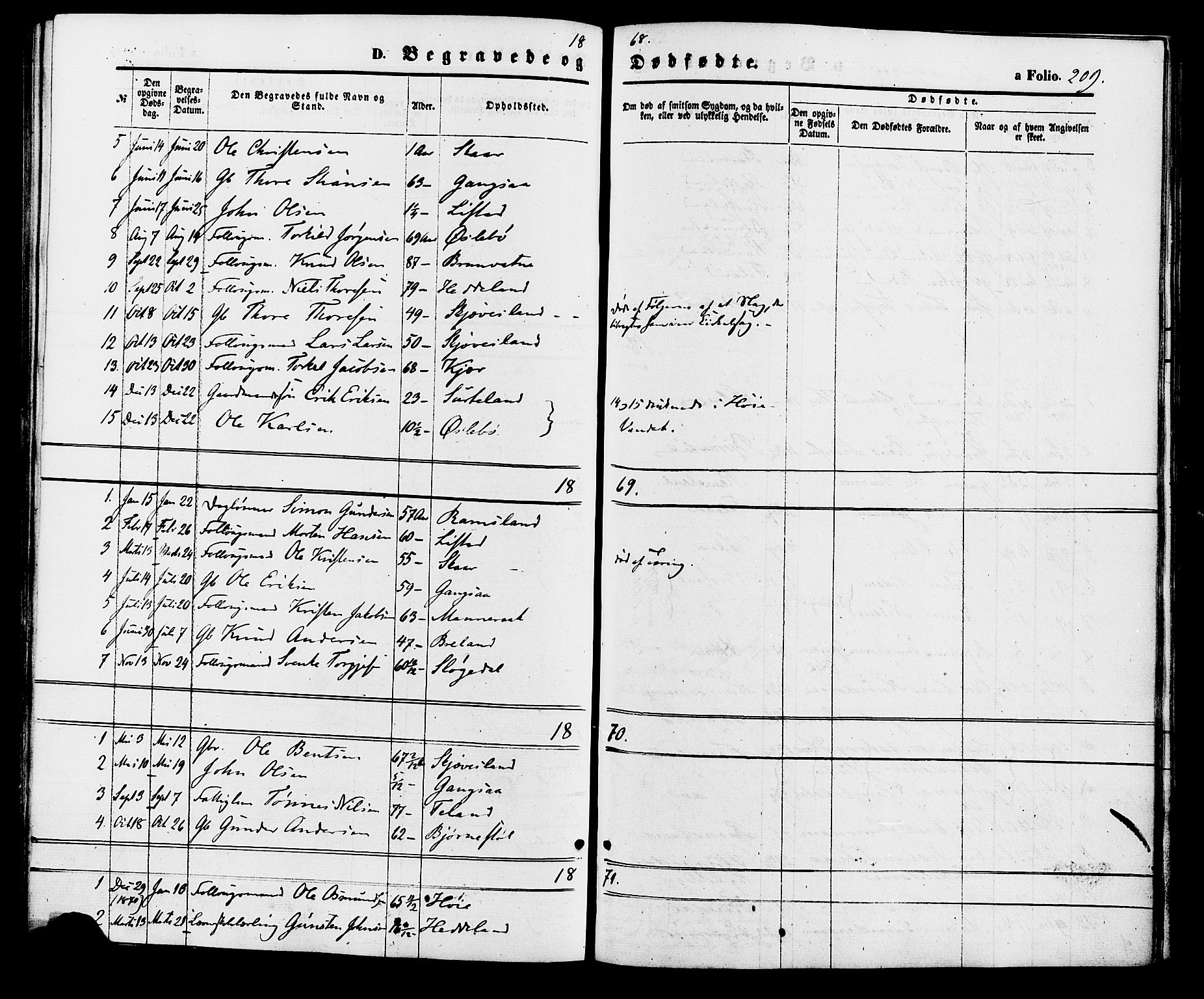 Holum sokneprestkontor, SAK/1111-0022/F/Fa/Fac/L0003: Parish register (official) no. A 3, 1860-1883, p. 209