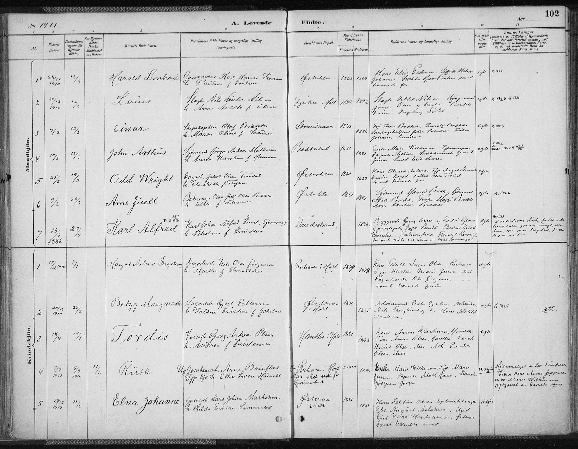 Tvedestrand sokneprestkontor, AV/SAK-1111-0042/F/Fa/L0001: Parish register (official) no. A 1, 1885-1916, p. 102