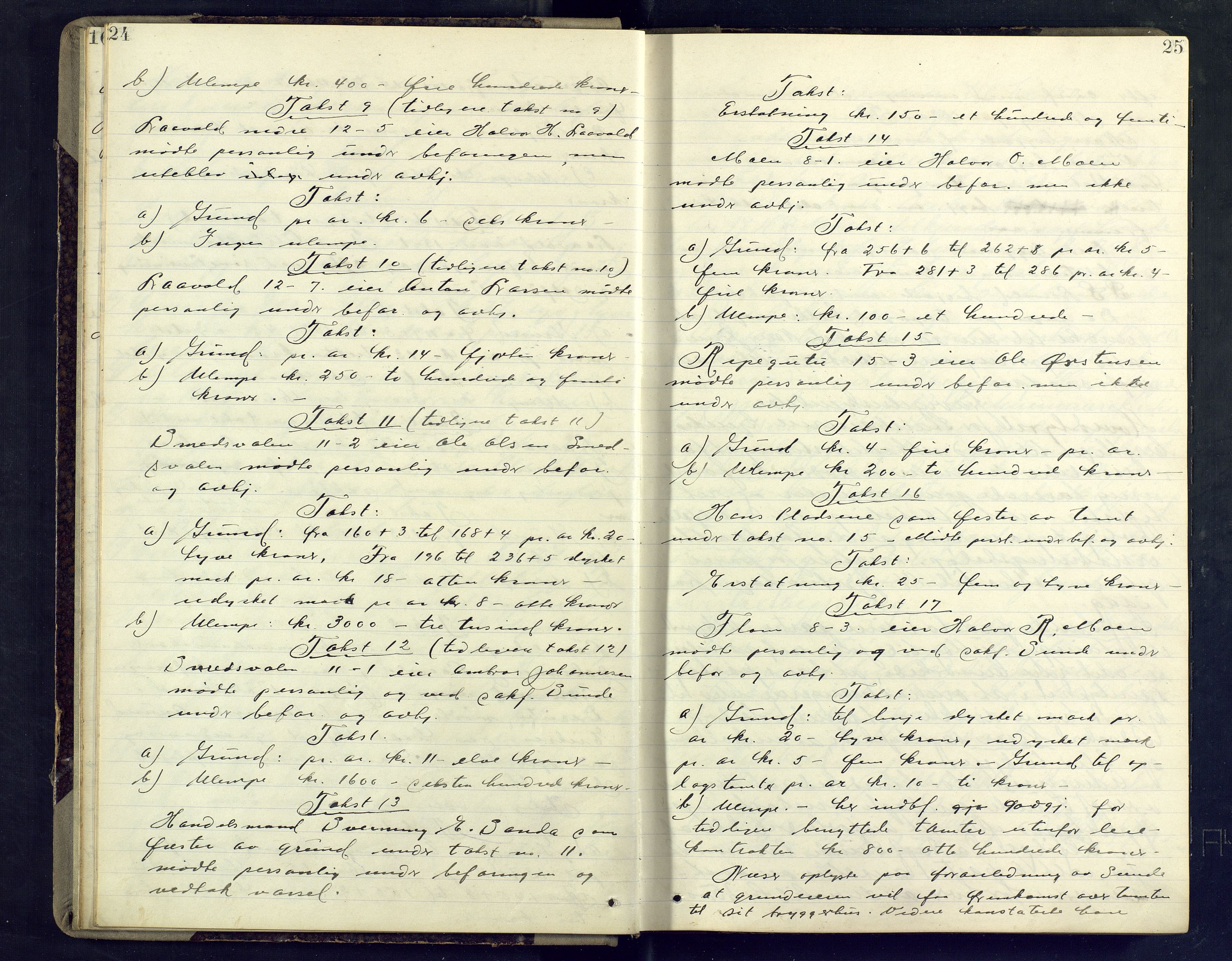 Nedre Telemark sorenskriveri, AV/SAKO-A-135/F/Fc/Fca/L0036: Ekstrarettsprotokoll, 1914-1918, p. 24-25