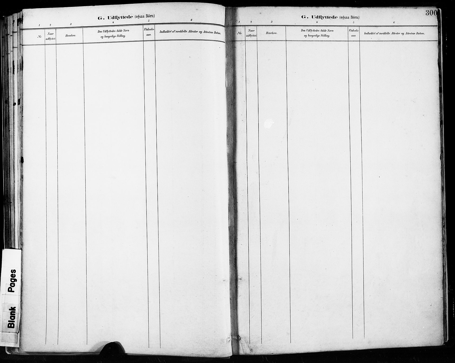Høyland sokneprestkontor, SAST/A-101799/001/30BA/L0013: Parish register (official) no. A 13.2, 1889-1898, p. 300