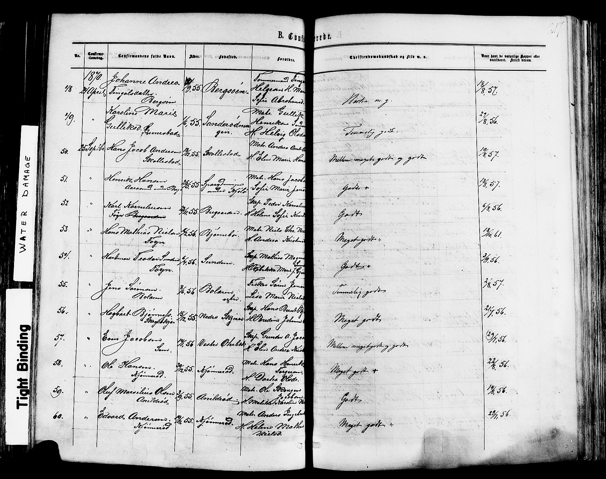 Nøtterøy kirkebøker, AV/SAKO-A-354/F/Fa/L0007: Parish register (official) no. I 7, 1865-1877, p. 217