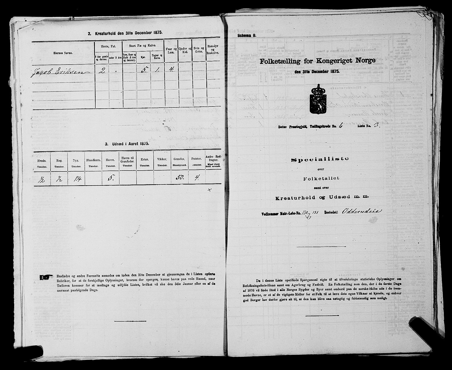 SAKO, 1875 census for 0715P Botne, 1875, p. 477