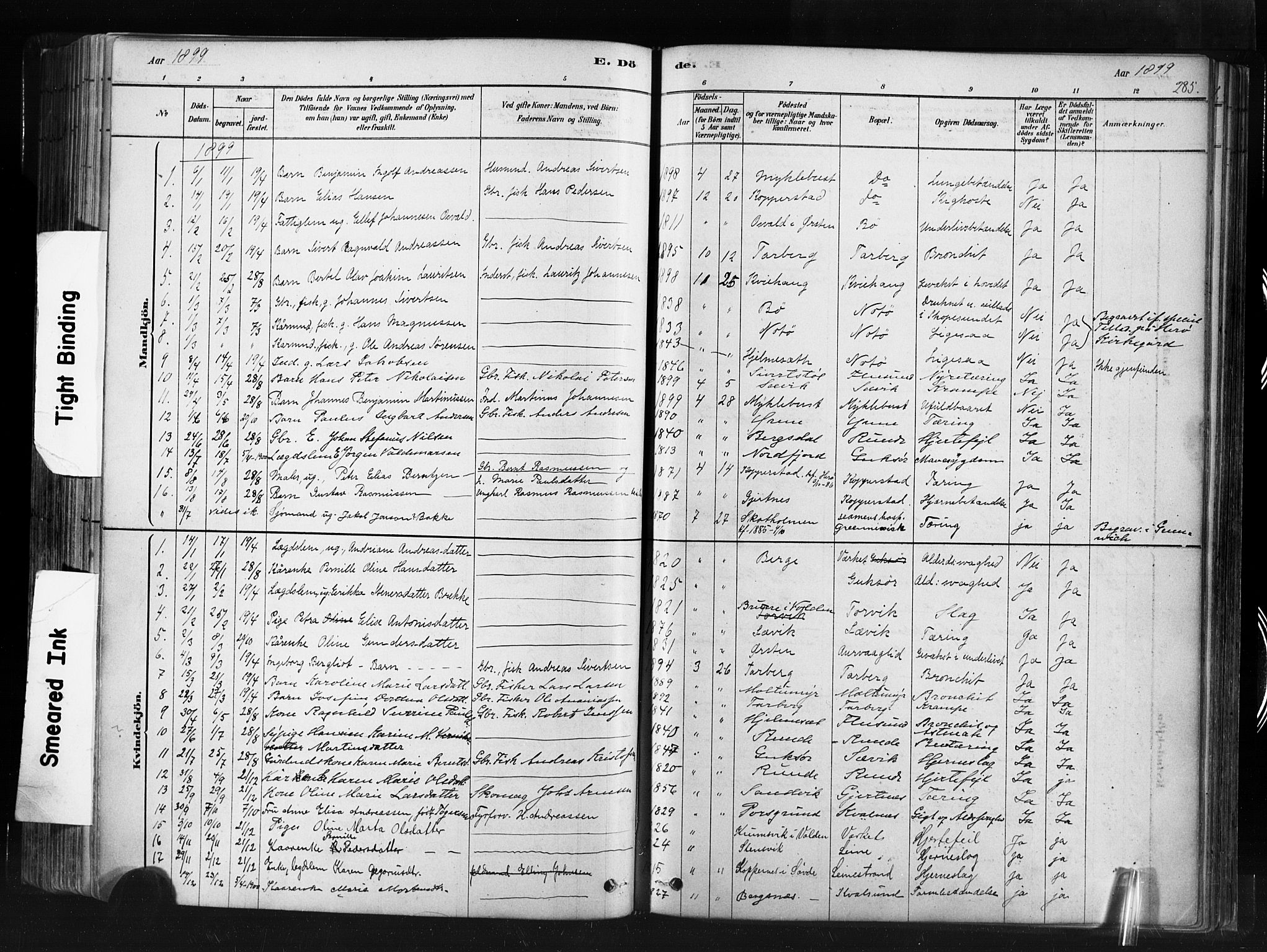 Ministerialprotokoller, klokkerbøker og fødselsregistre - Møre og Romsdal, SAT/A-1454/507/L0073: Parish register (official) no. 507A08, 1878-1904, p. 285