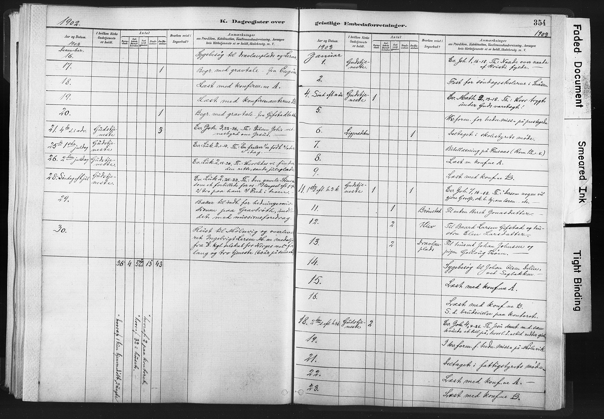 Ministerialprotokoller, klokkerbøker og fødselsregistre - Nord-Trøndelag, AV/SAT-A-1458/749/L0474: Parish register (official) no. 749A08, 1887-1903, p. 354