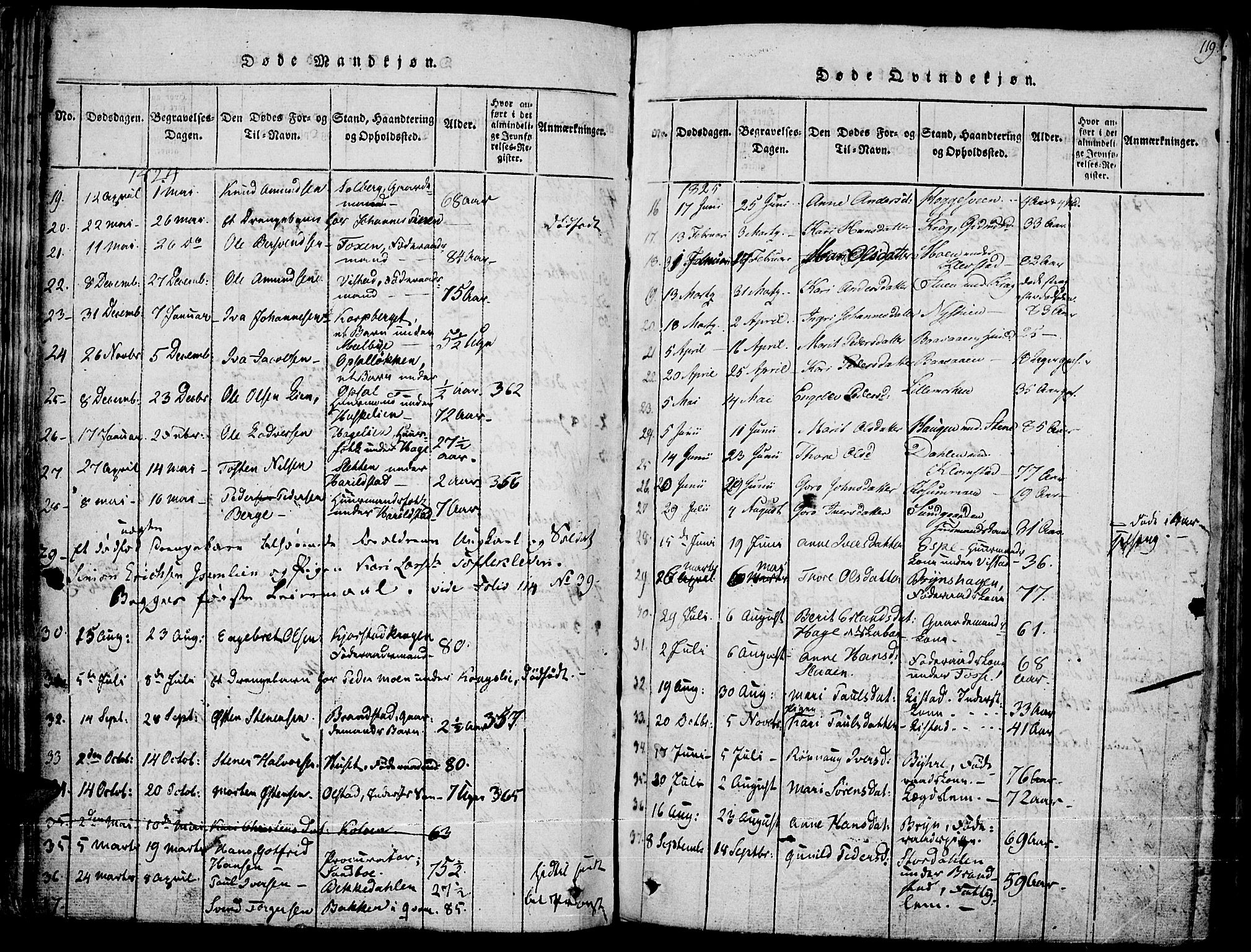 Fron prestekontor, SAH/PREST-078/H/Ha/Haa/L0002: Parish register (official) no. 2, 1816-1827, p. 119