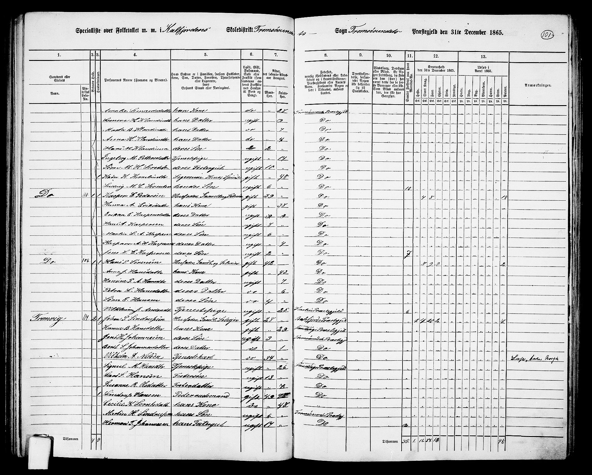 RA, 1865 census for Tromsøysund, 1865, p. 85