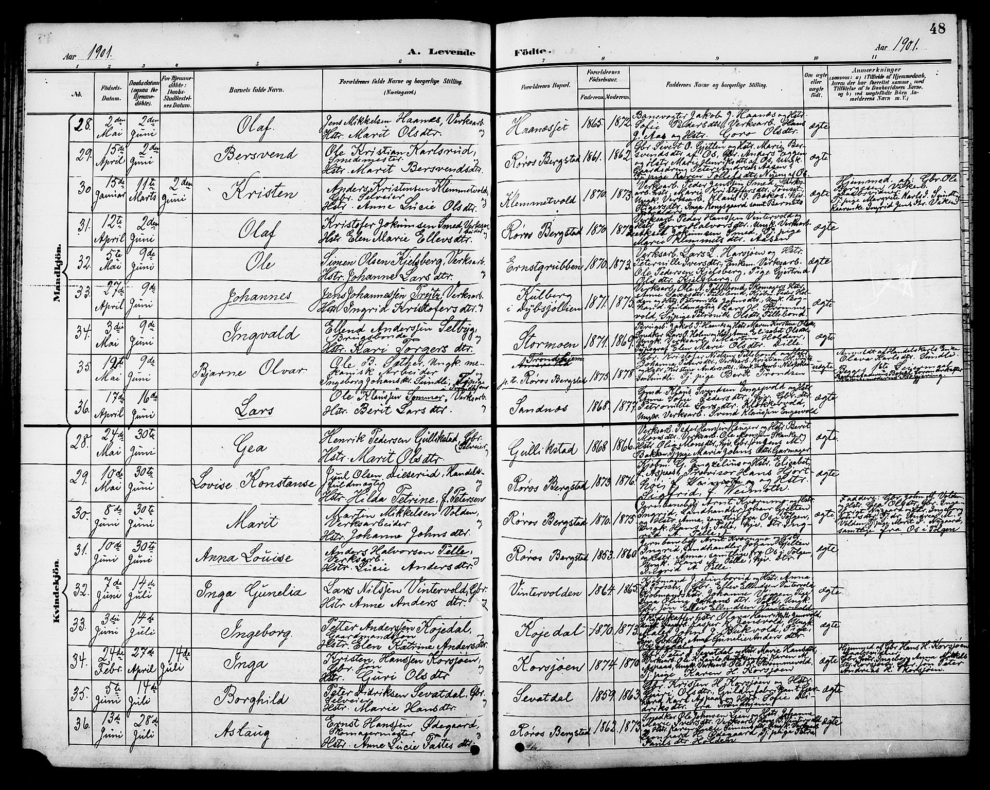 Ministerialprotokoller, klokkerbøker og fødselsregistre - Sør-Trøndelag, AV/SAT-A-1456/681/L0941: Parish register (copy) no. 681C05, 1896-1905, p. 48