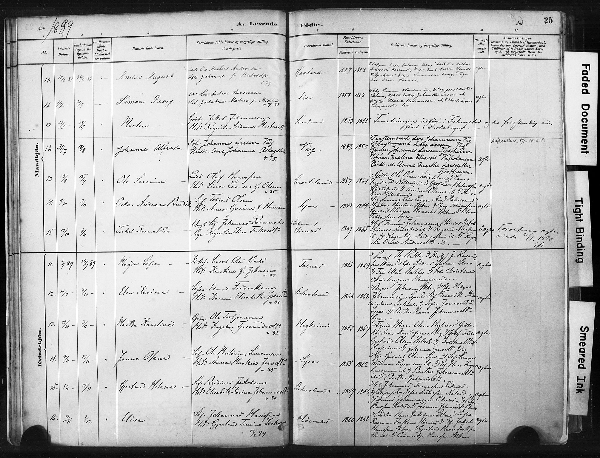 Skudenes sokneprestkontor, AV/SAST-A -101849/H/Ha/Haa/L0009: Parish register (official) no. A 6, 1882-1912, p. 25