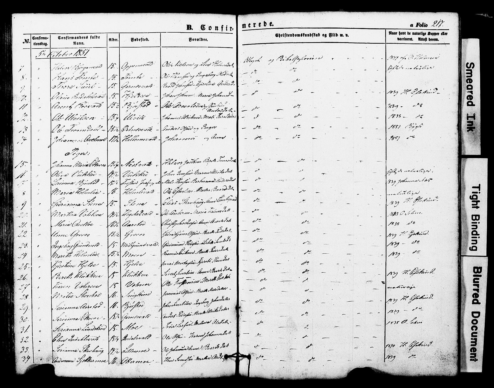 Ministerialprotokoller, klokkerbøker og fødselsregistre - Nord-Trøndelag, SAT/A-1458/724/L0268: Parish register (copy) no. 724C04, 1846-1878, p. 217