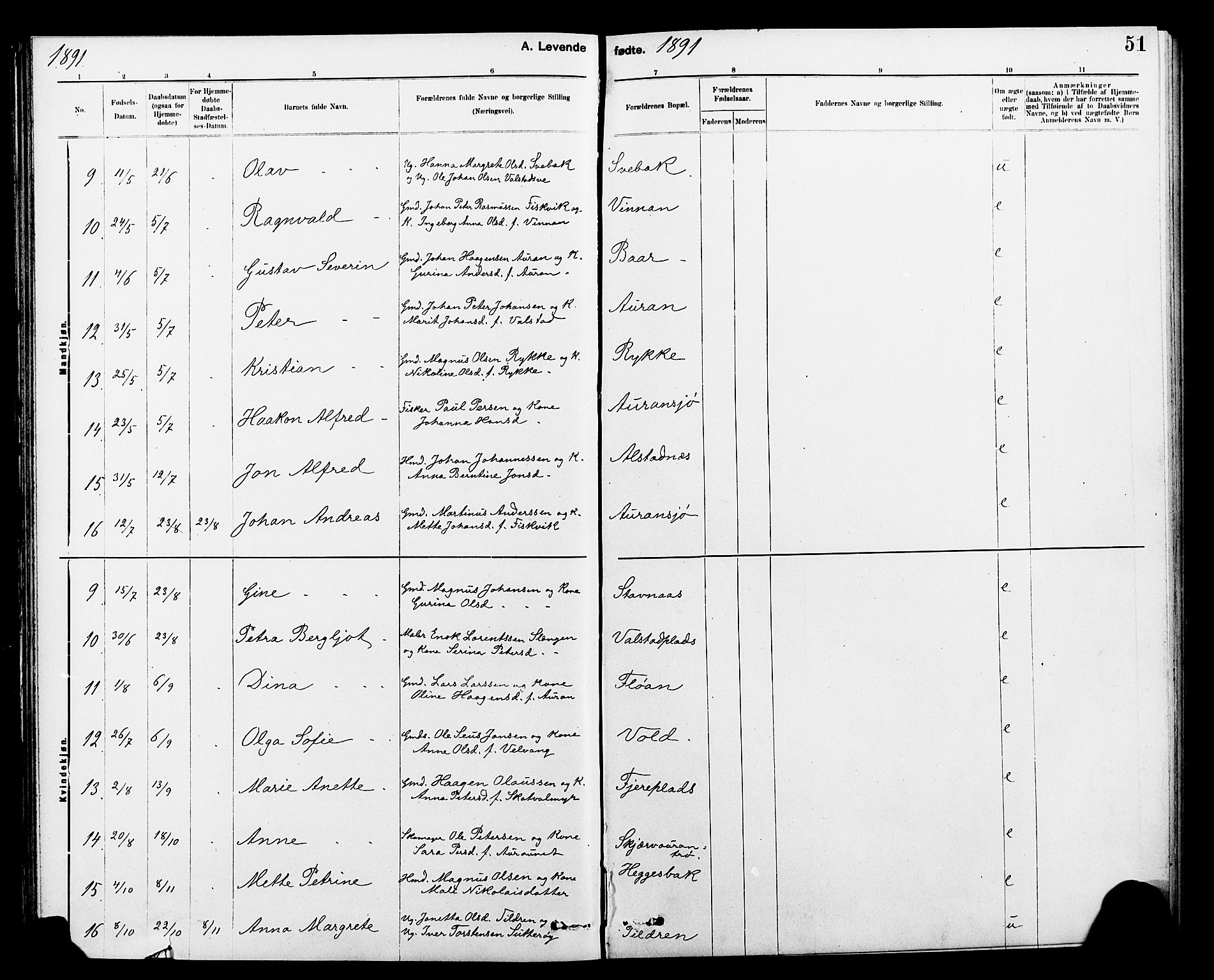 Ministerialprotokoller, klokkerbøker og fødselsregistre - Nord-Trøndelag, AV/SAT-A-1458/712/L0103: Parish register (copy) no. 712C01, 1878-1917, p. 51