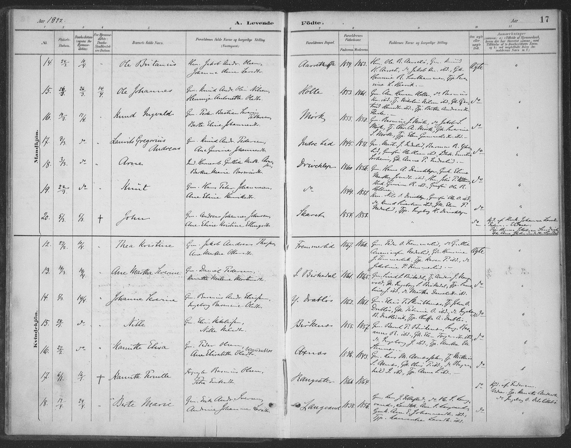 Ministerialprotokoller, klokkerbøker og fødselsregistre - Møre og Romsdal, AV/SAT-A-1454/511/L0142: Parish register (official) no. 511A09, 1891-1905, p. 17