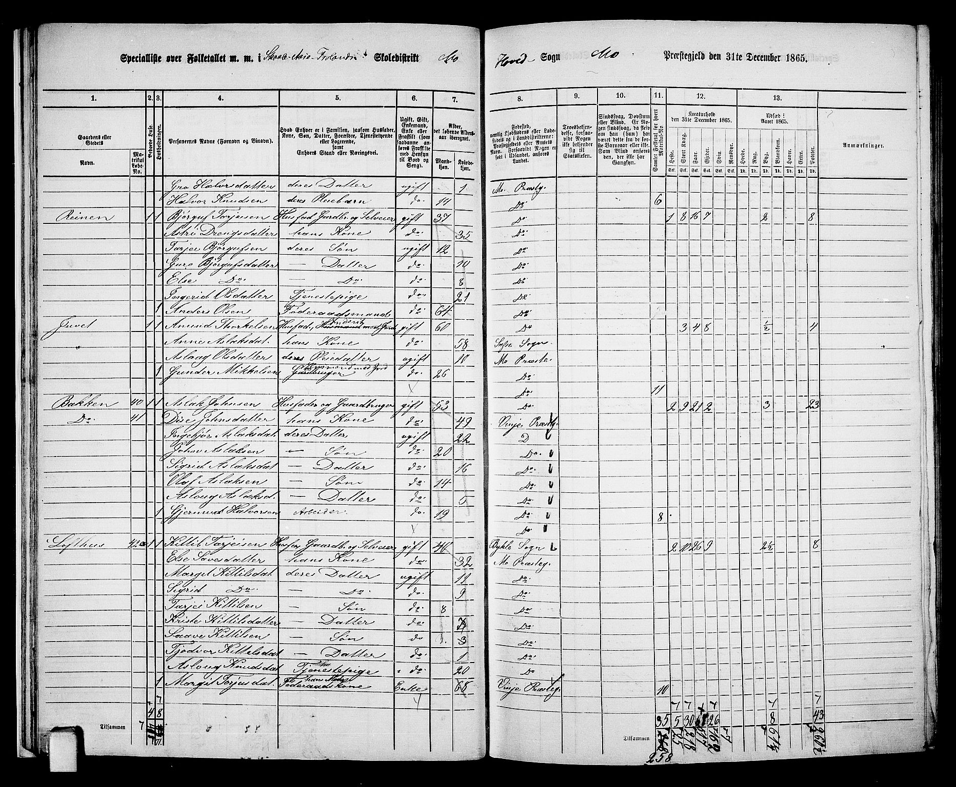 RA, 1865 census for Mo, 1865, p. 19