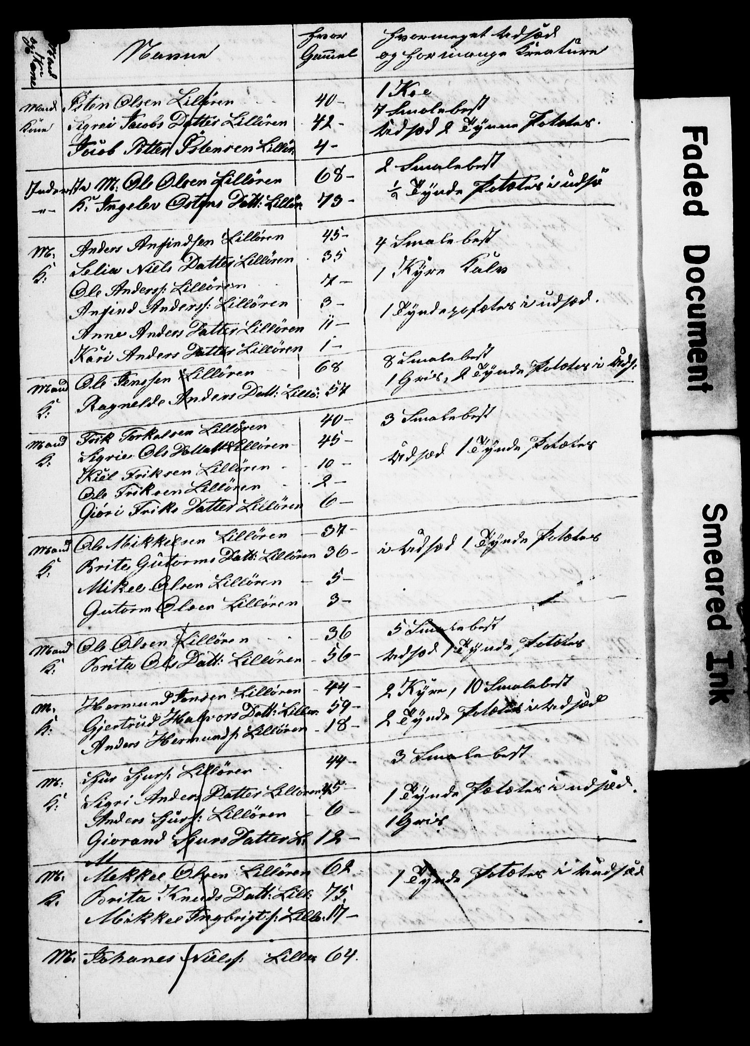 , Census 1845 for Vik, 1845, p. 24