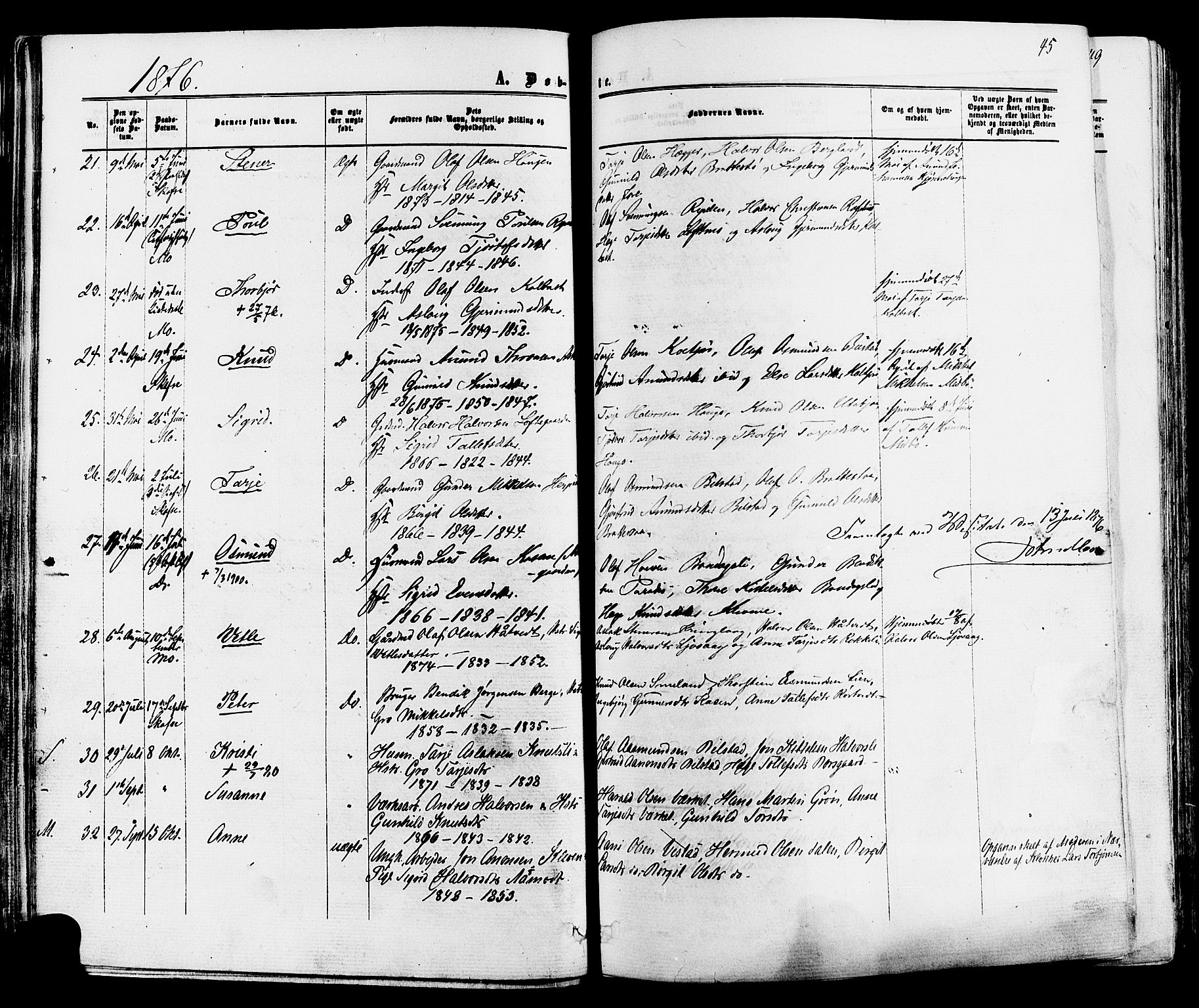 Mo kirkebøker, AV/SAKO-A-286/F/Fa/L0006: Parish register (official) no. I 6, 1865-1885, p. 45