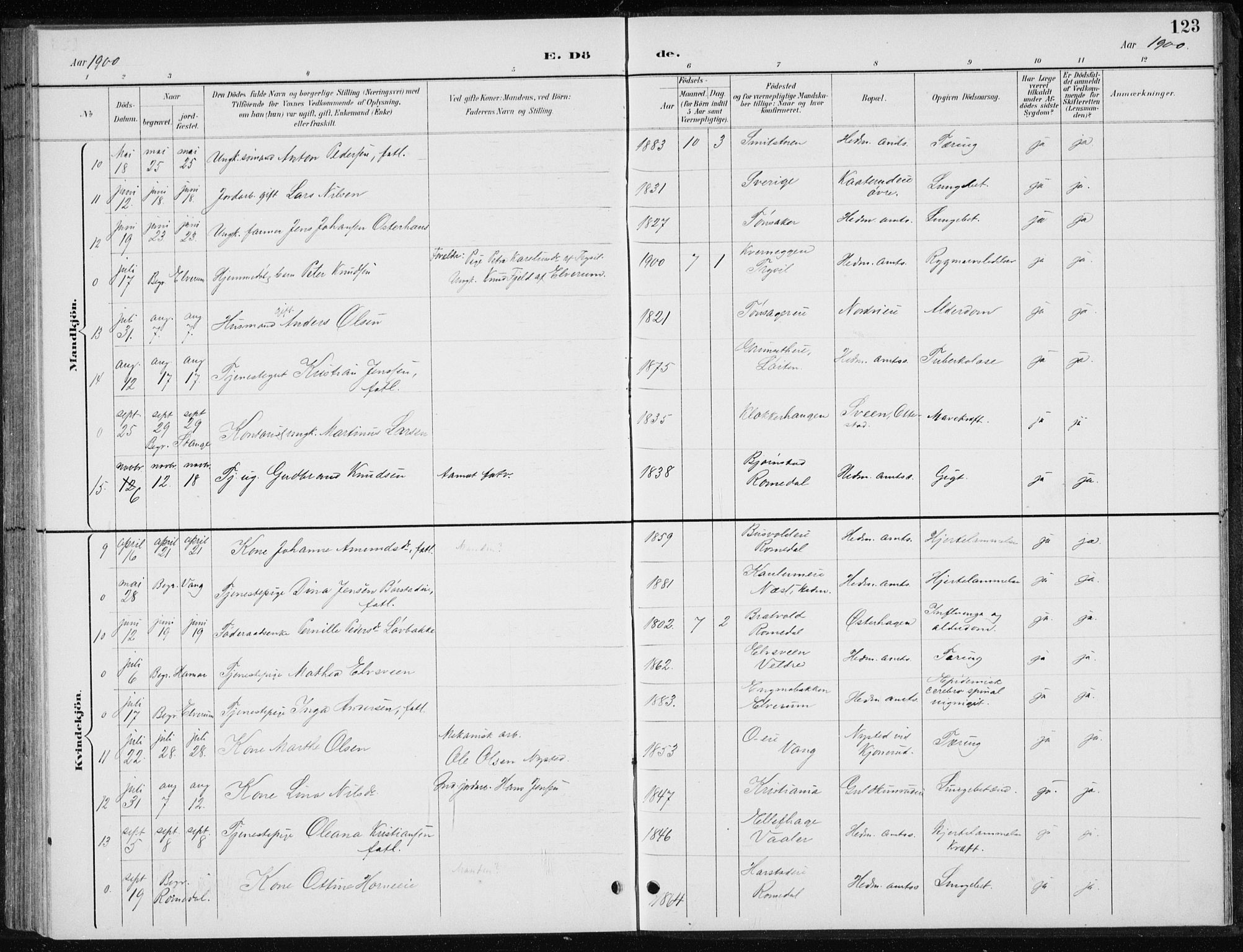 Stange prestekontor, AV/SAH-PREST-002/L/L0010: Parish register (copy) no. 10, 1894-1905, p. 123