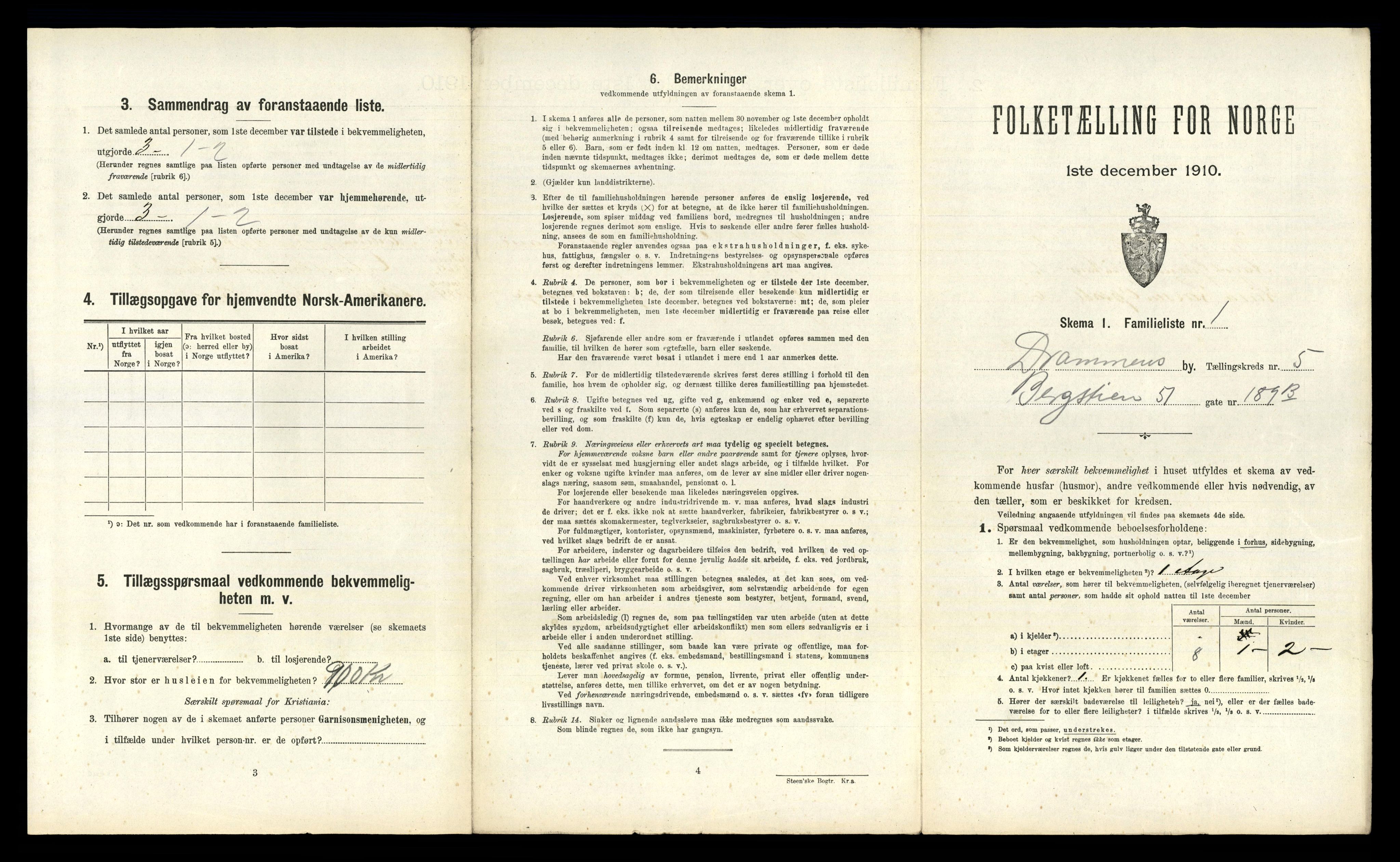 RA, 1910 census for Drammen, 1910, p. 3904