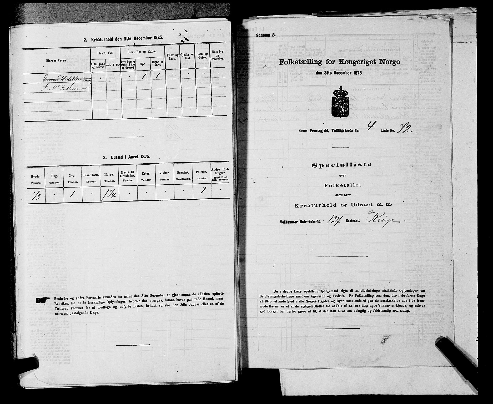 SAKO, 1875 census for 0721P Sem, 1875, p. 608