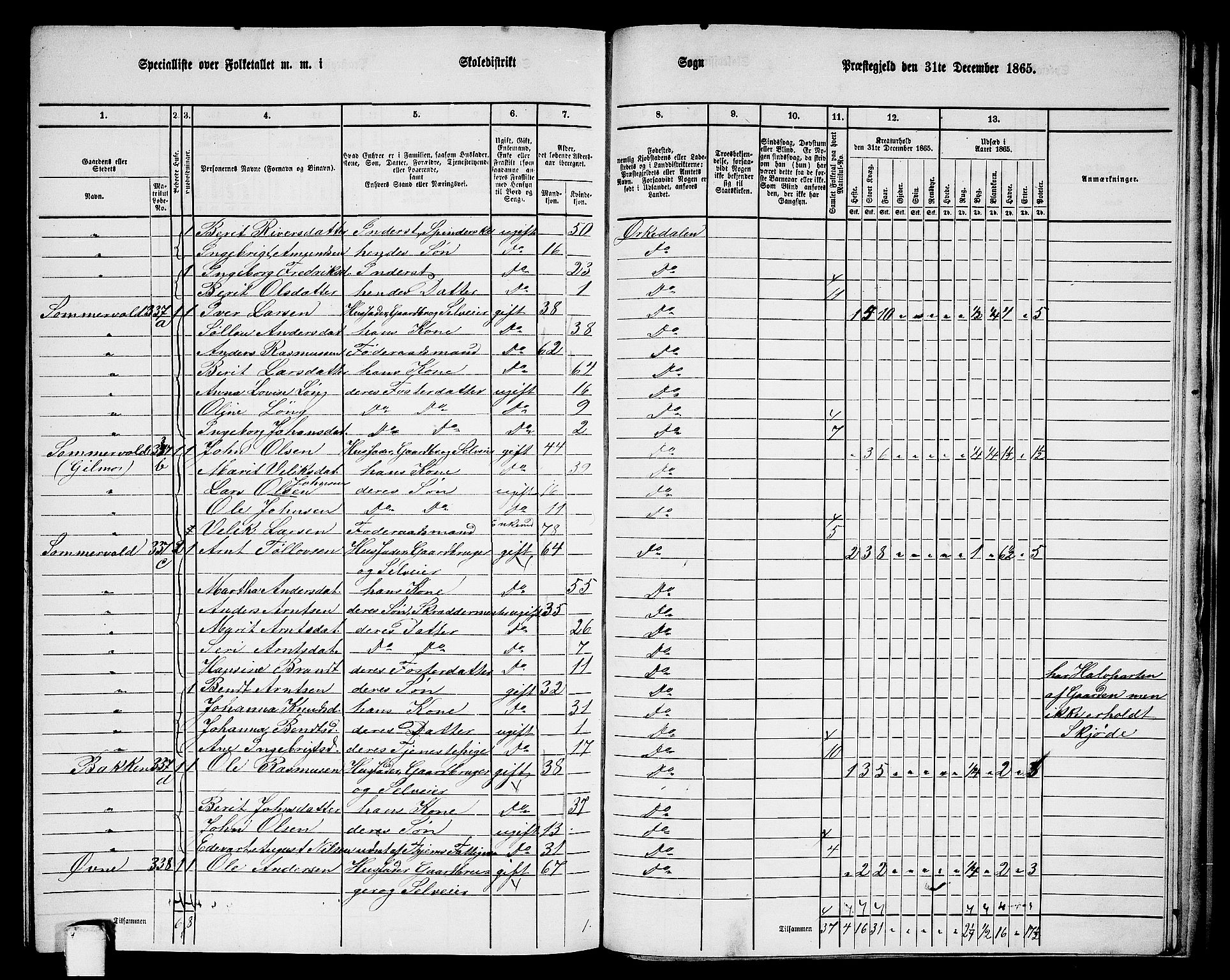 RA, 1865 census for Orkdal, 1865, p. 244