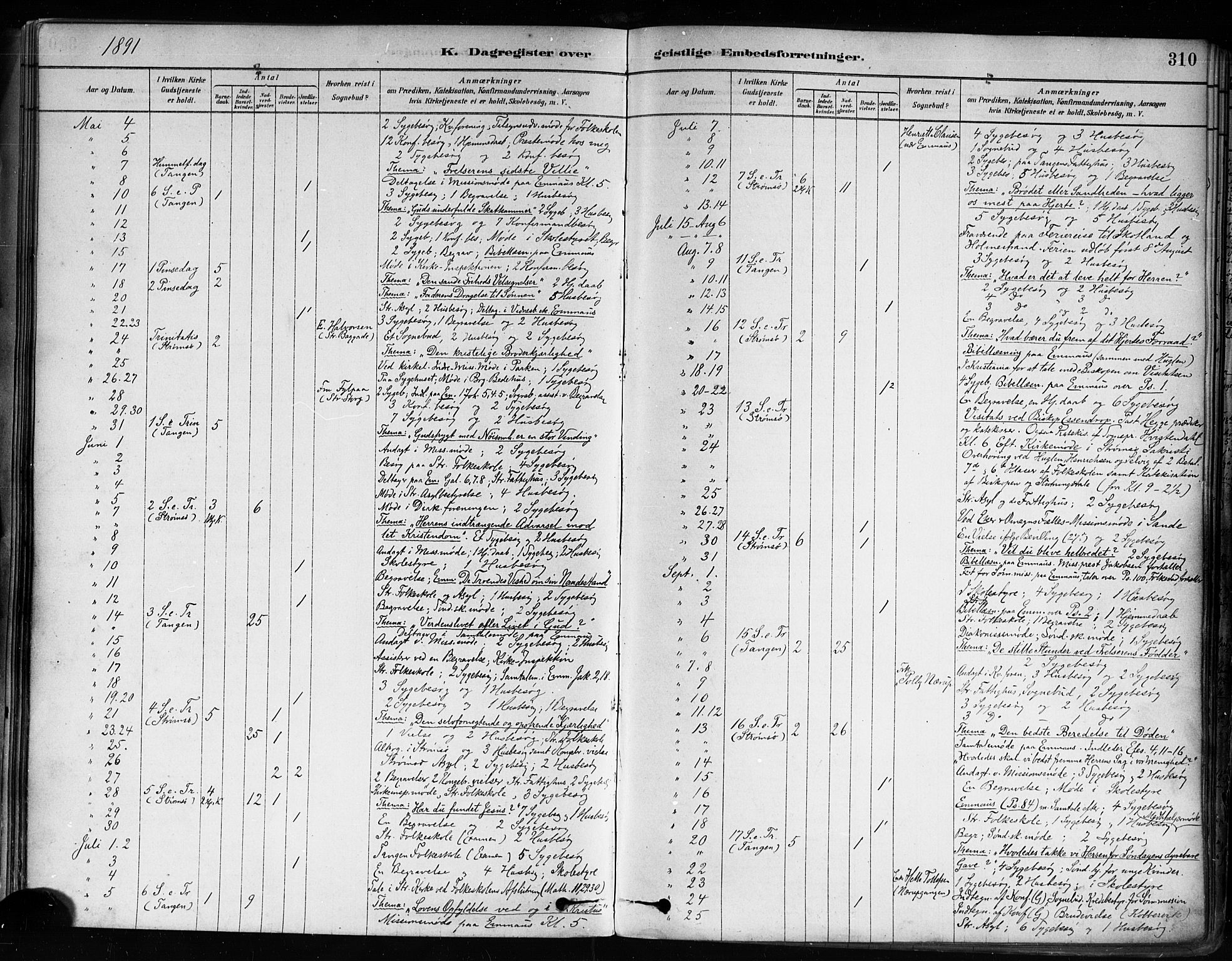 Strømsø kirkebøker, AV/SAKO-A-246/F/Fa/L0022: Parish register (official) no. I 22, 1879-1899, p. 310