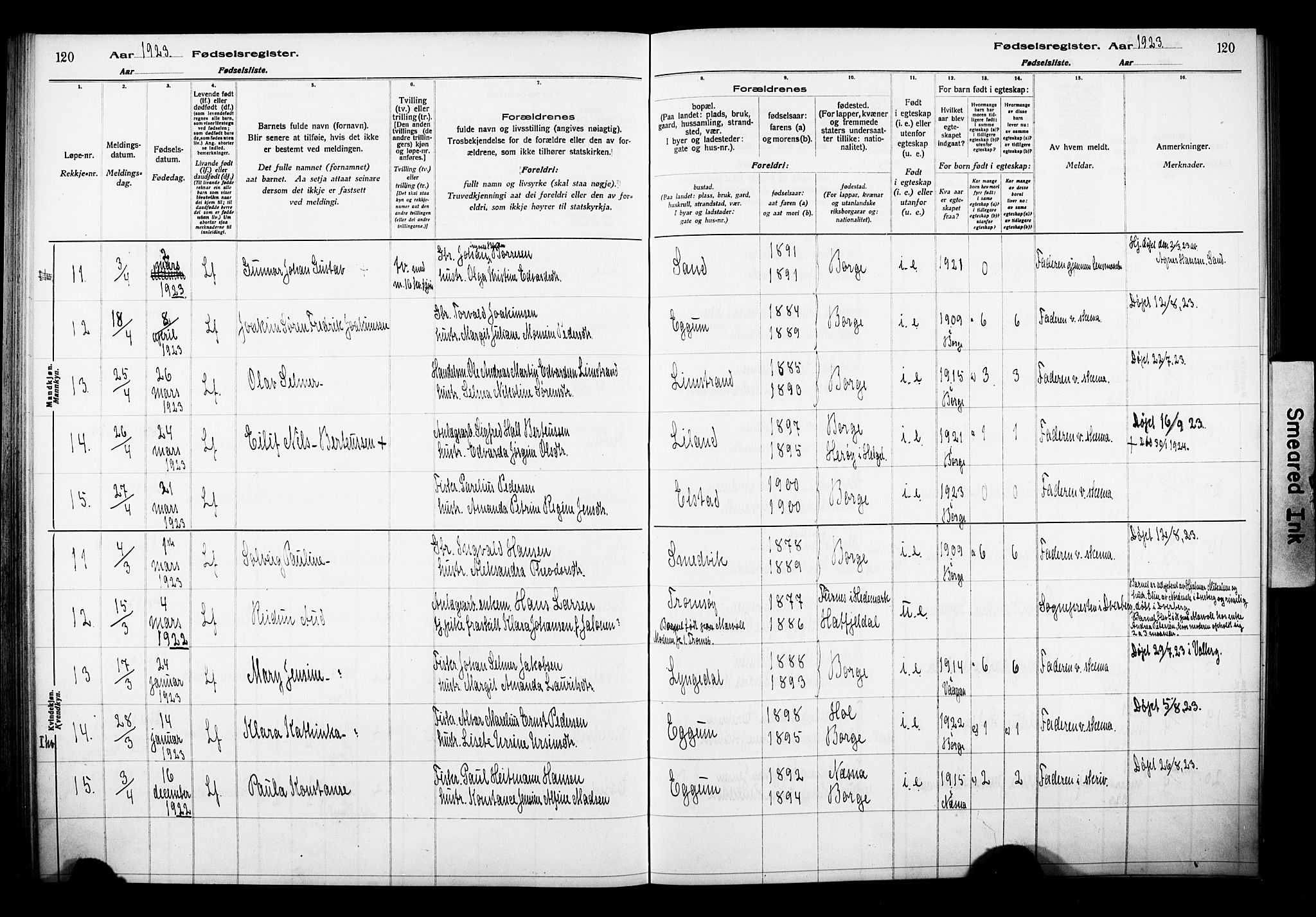 Ministerialprotokoller, klokkerbøker og fødselsregistre - Nordland, AV/SAT-A-1459/880/L1145: Birth register no. 880.II.4.1, 1916-1929, p. 120