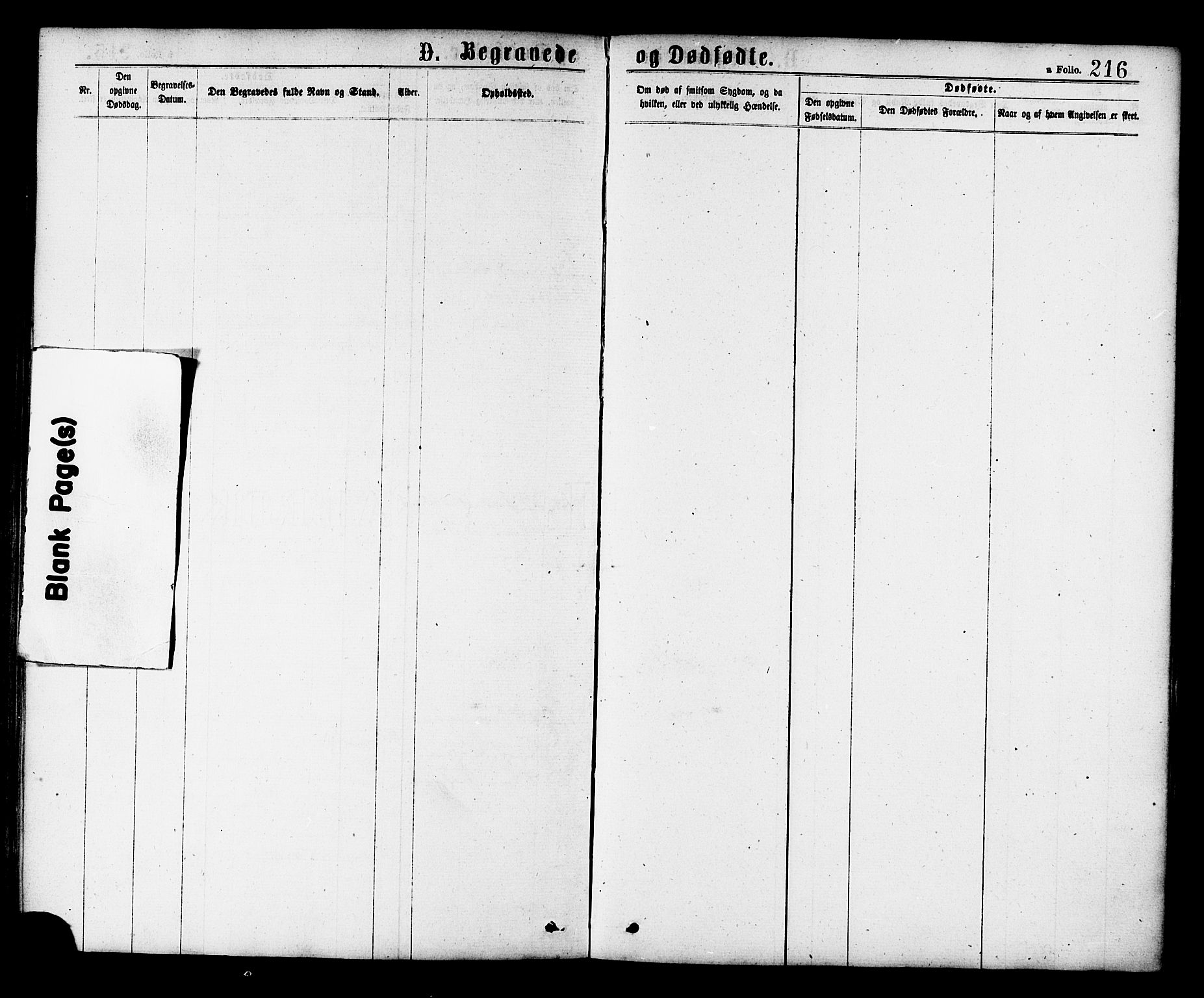 Ministerialprotokoller, klokkerbøker og fødselsregistre - Nord-Trøndelag, SAT/A-1458/758/L0516: Parish register (official) no. 758A03 /1, 1869-1879, p. 216