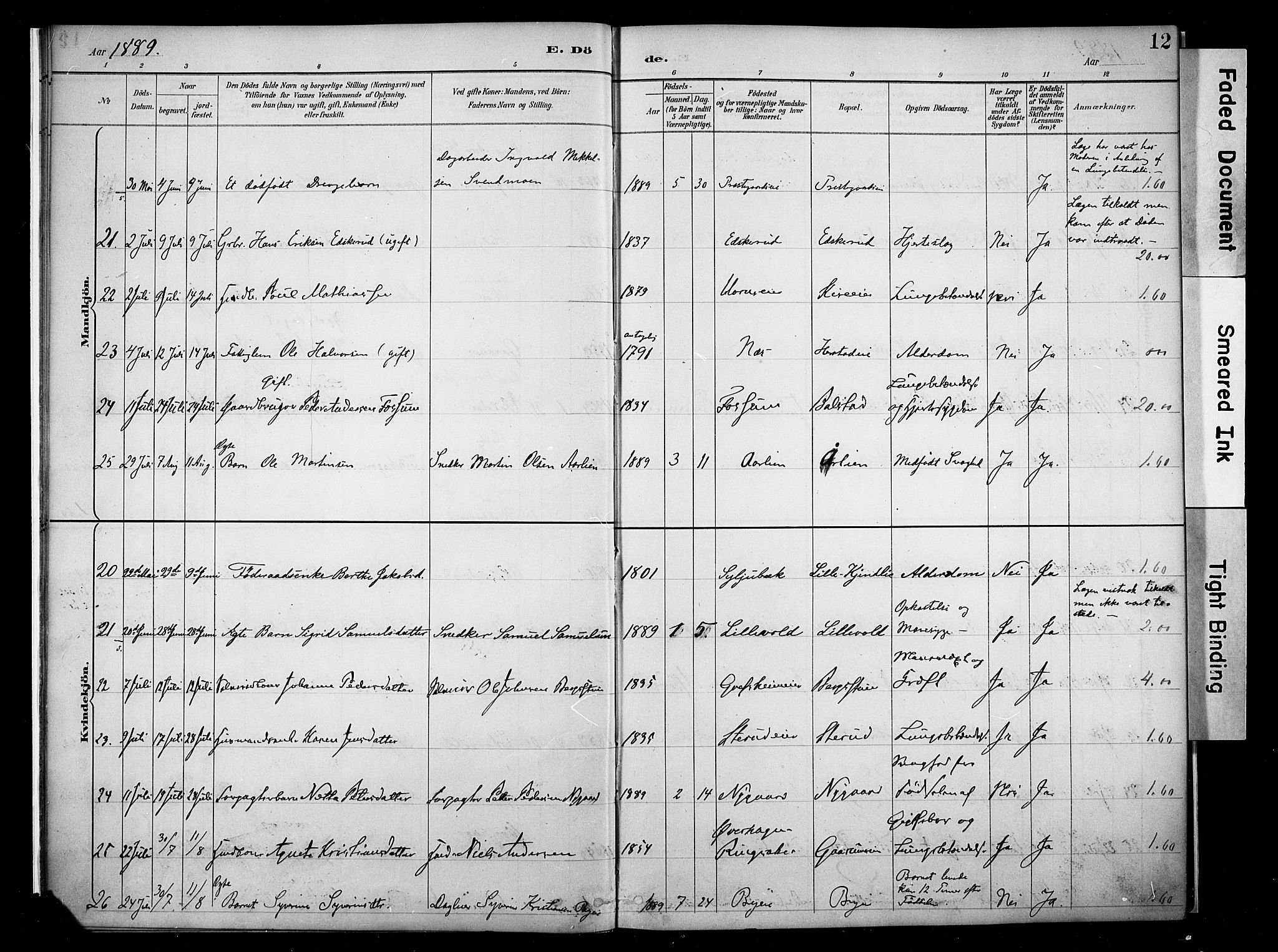 Nes prestekontor, Hedmark, AV/SAH-PREST-020/K/Ka/L0011: Parish register (official) no. 11, 1887-1905, p. 12