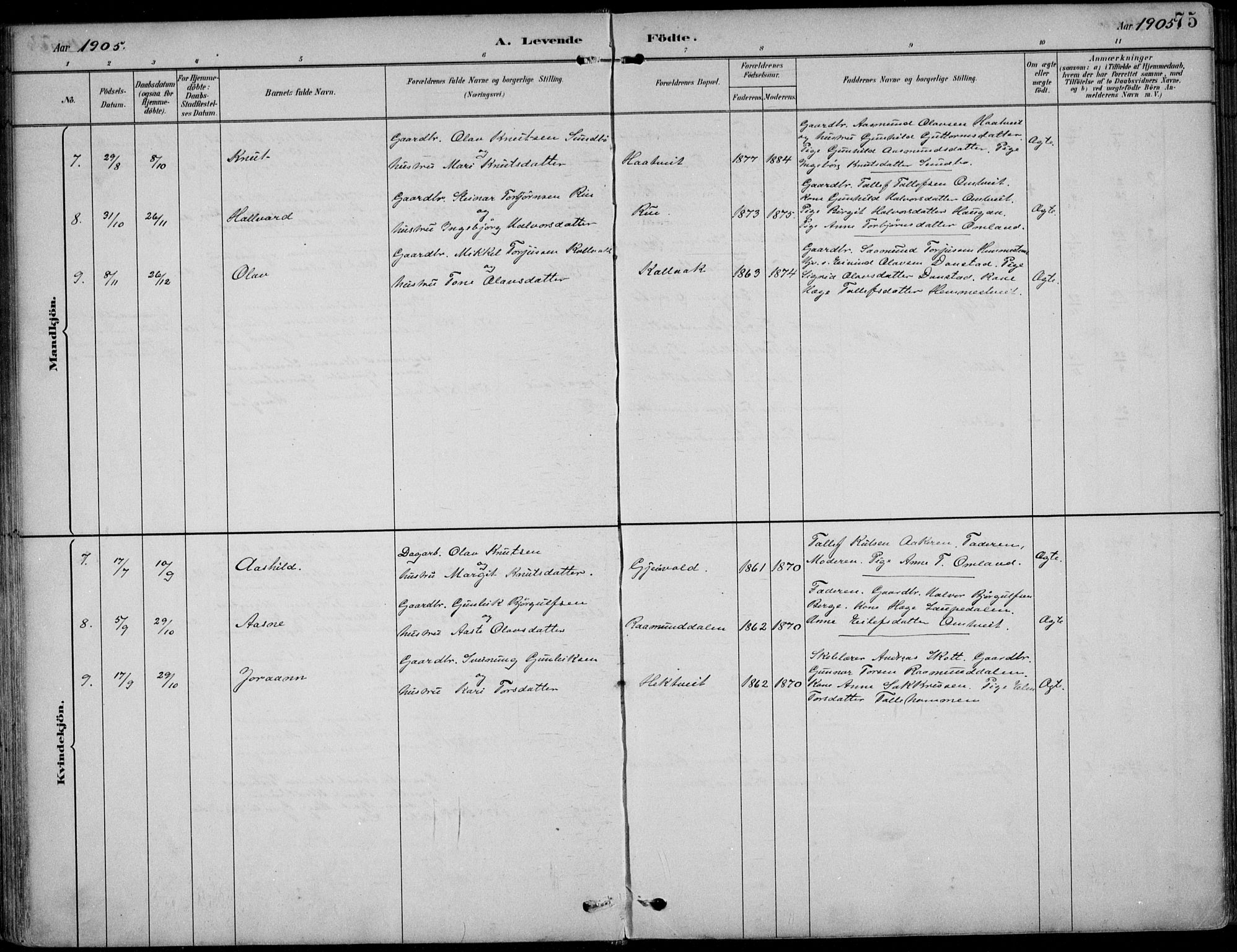 Kviteseid kirkebøker, SAKO/A-276/F/Fb/L0002: Parish register (official) no. II 2, 1882-1916, p. 75