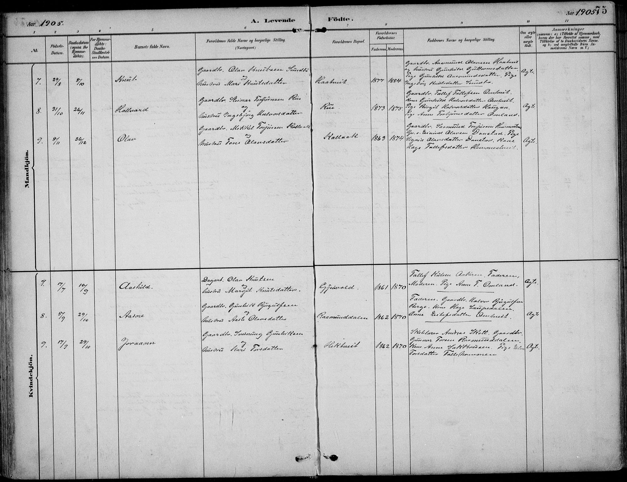 Kviteseid kirkebøker, AV/SAKO-A-276/F/Fb/L0002: Parish register (official) no. II 2, 1882-1916, p. 75