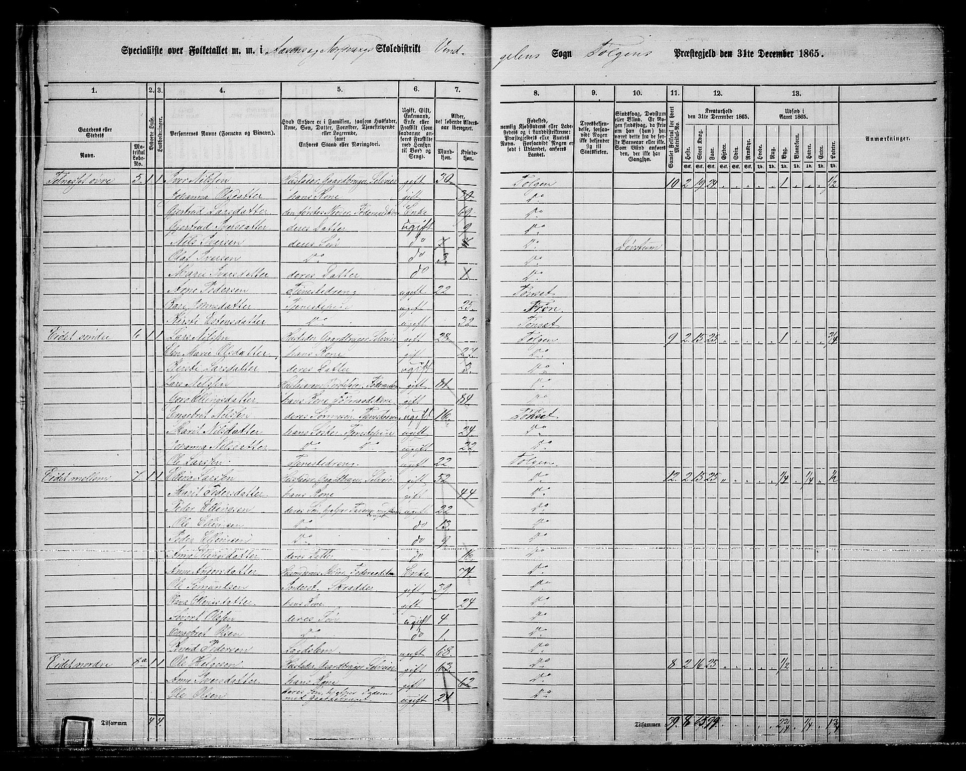 RA, 1865 census for Tolga, 1865, p. 17