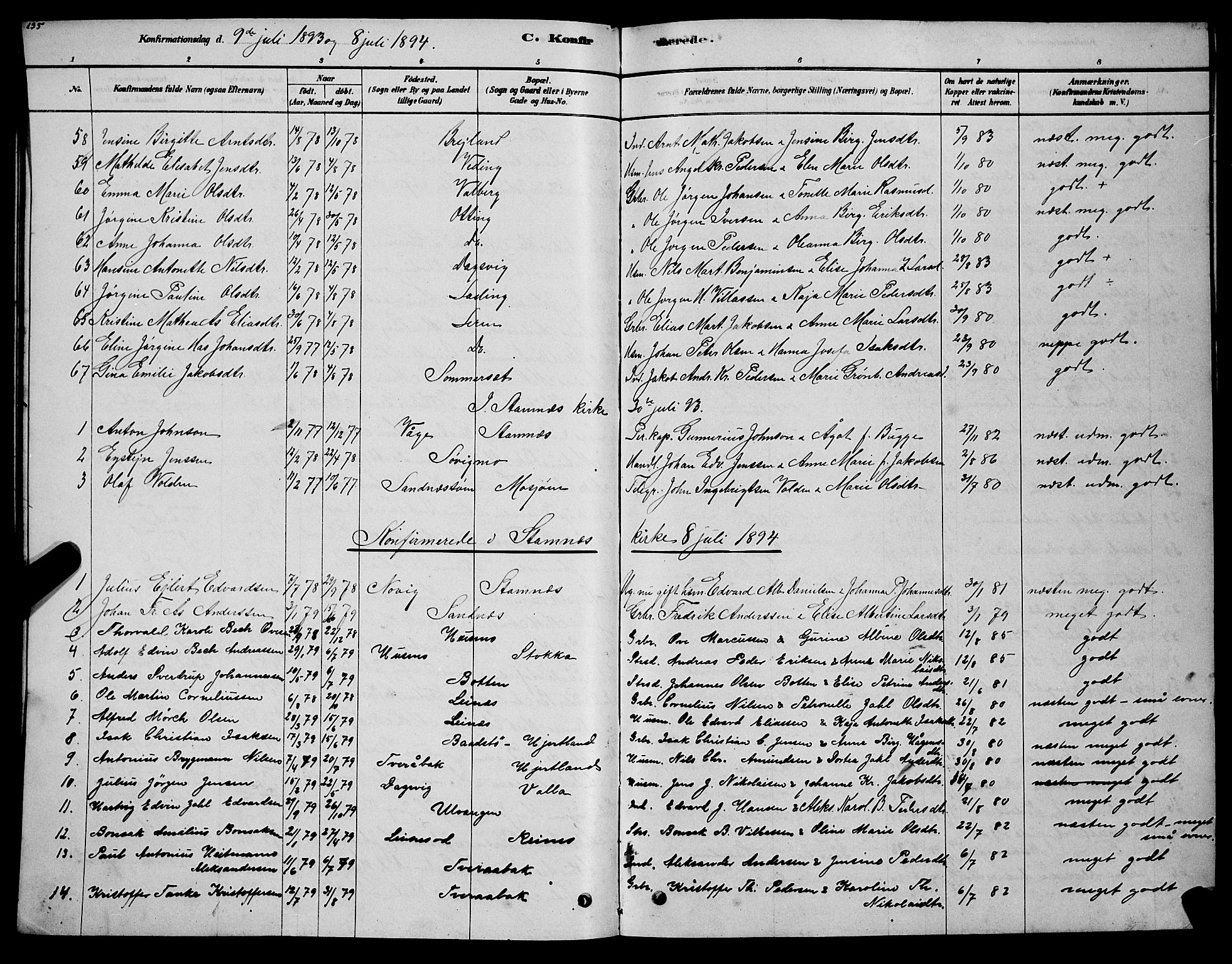 Ministerialprotokoller, klokkerbøker og fødselsregistre - Nordland, AV/SAT-A-1459/831/L0477: Parish register (copy) no. 831C04, 1878-1897, p. 135