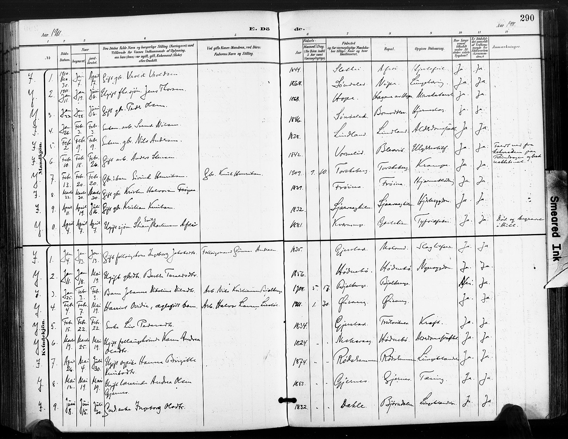 Søndeled sokneprestkontor, AV/SAK-1111-0038/F/Fa/L0006: Parish register (official) no. A 6, 1900-1922, p. 290