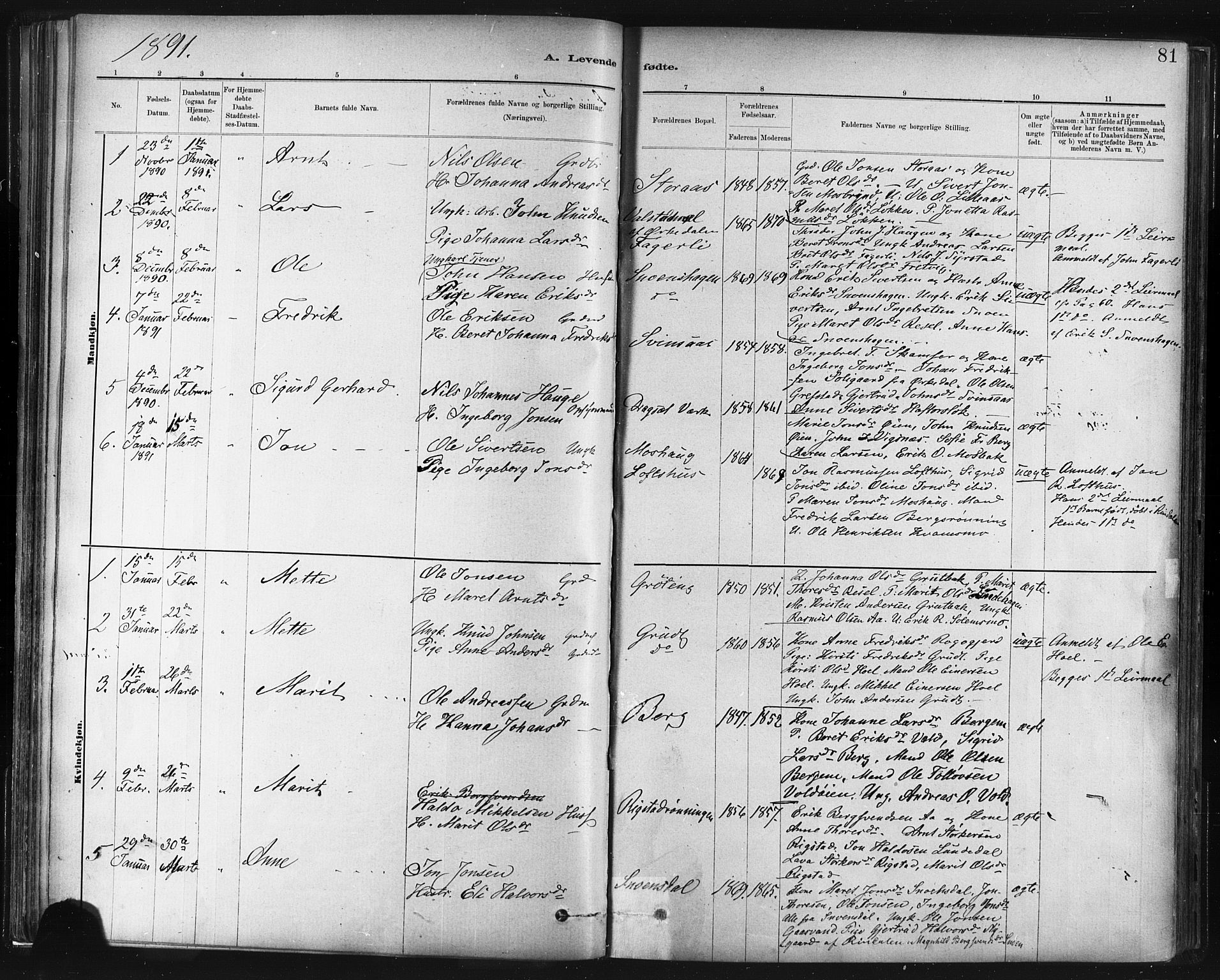 Ministerialprotokoller, klokkerbøker og fødselsregistre - Sør-Trøndelag, SAT/A-1456/672/L0857: Parish register (official) no. 672A09, 1882-1893, p. 81