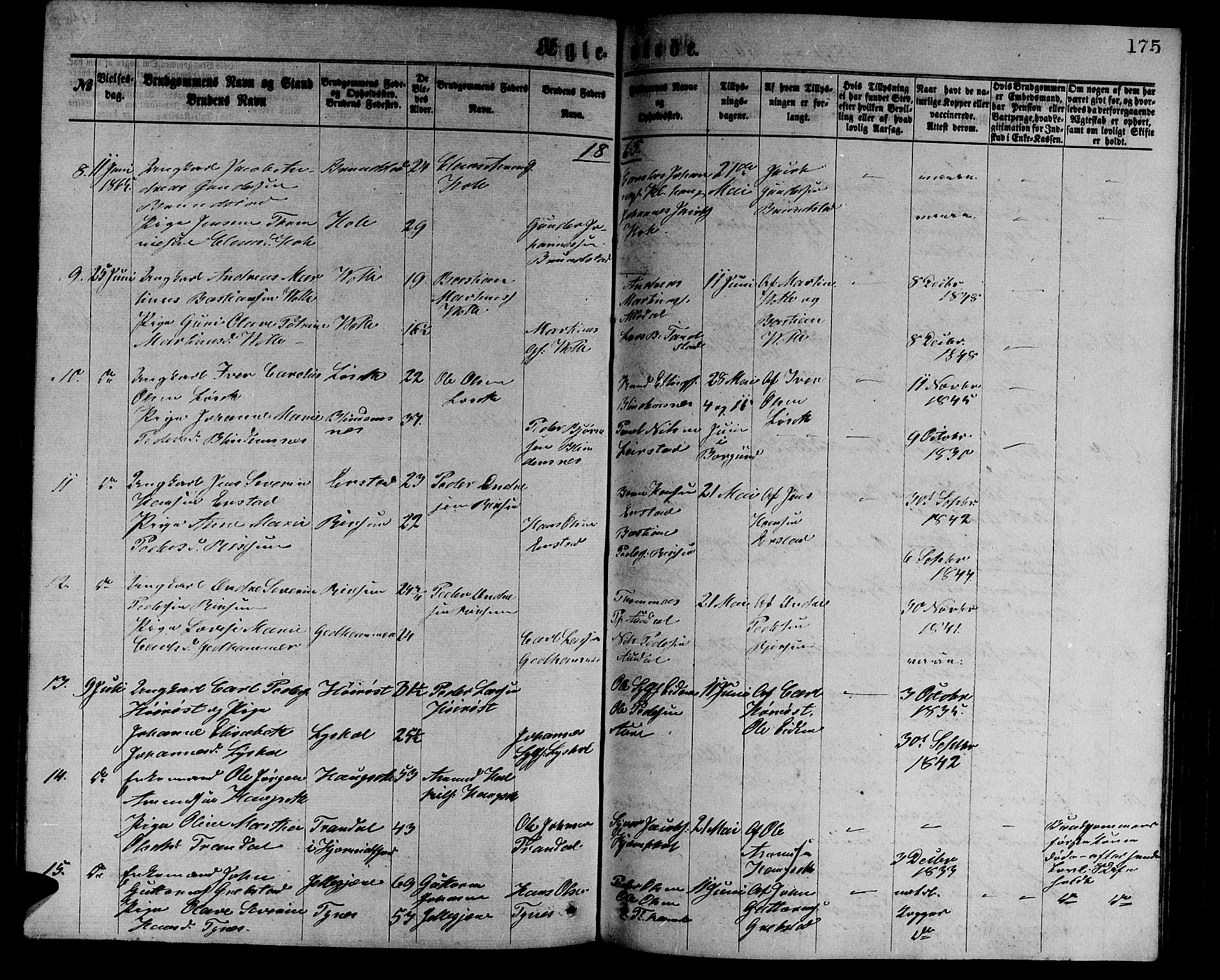 Ministerialprotokoller, klokkerbøker og fødselsregistre - Møre og Romsdal, AV/SAT-A-1454/523/L0338: Parish register (copy) no. 523C01, 1865-1877, p. 175