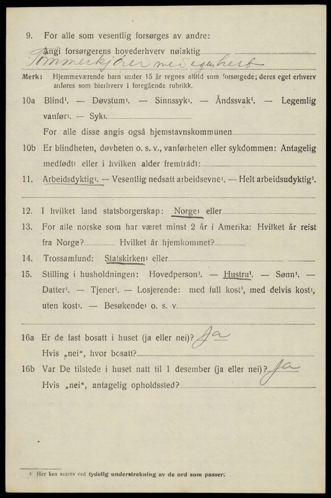 SAH, 1920 census for Trysil, 1920, p. 13775