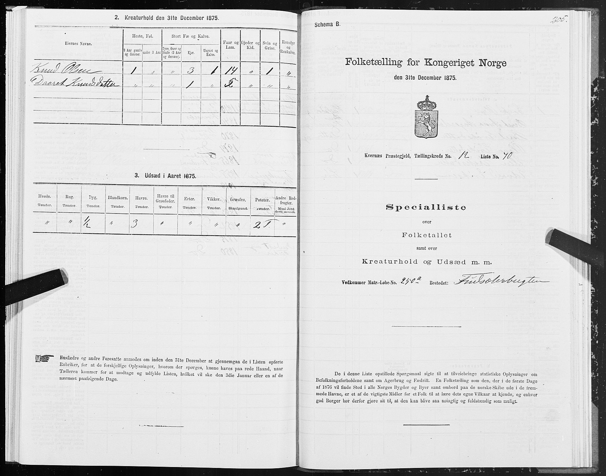 SAT, 1875 census for 1553P Kvernes, 1875, p. 6205