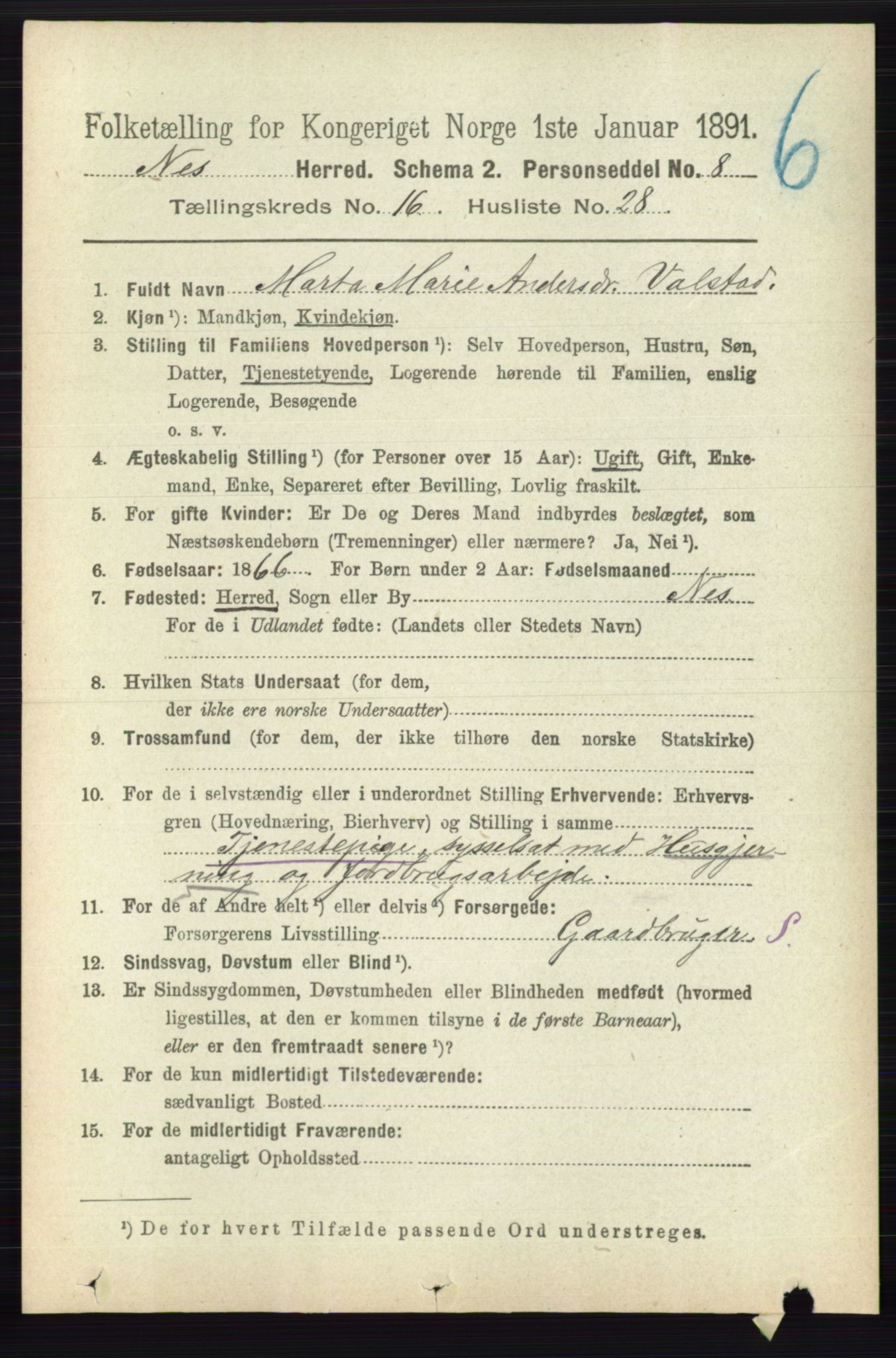 RA, 1891 census for 0236 Nes, 1891, p. 9728