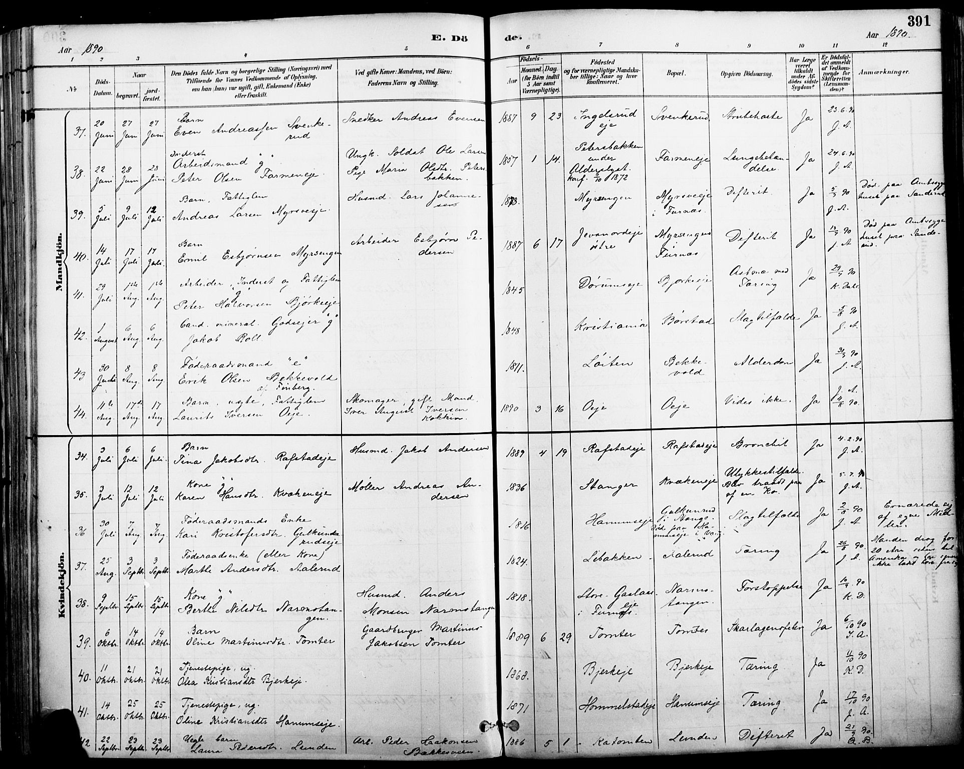 Vang prestekontor, Hedmark, AV/SAH-PREST-008/H/Ha/Haa/L0019A: Parish register (official) no. 19, 1886-1900, p. 391