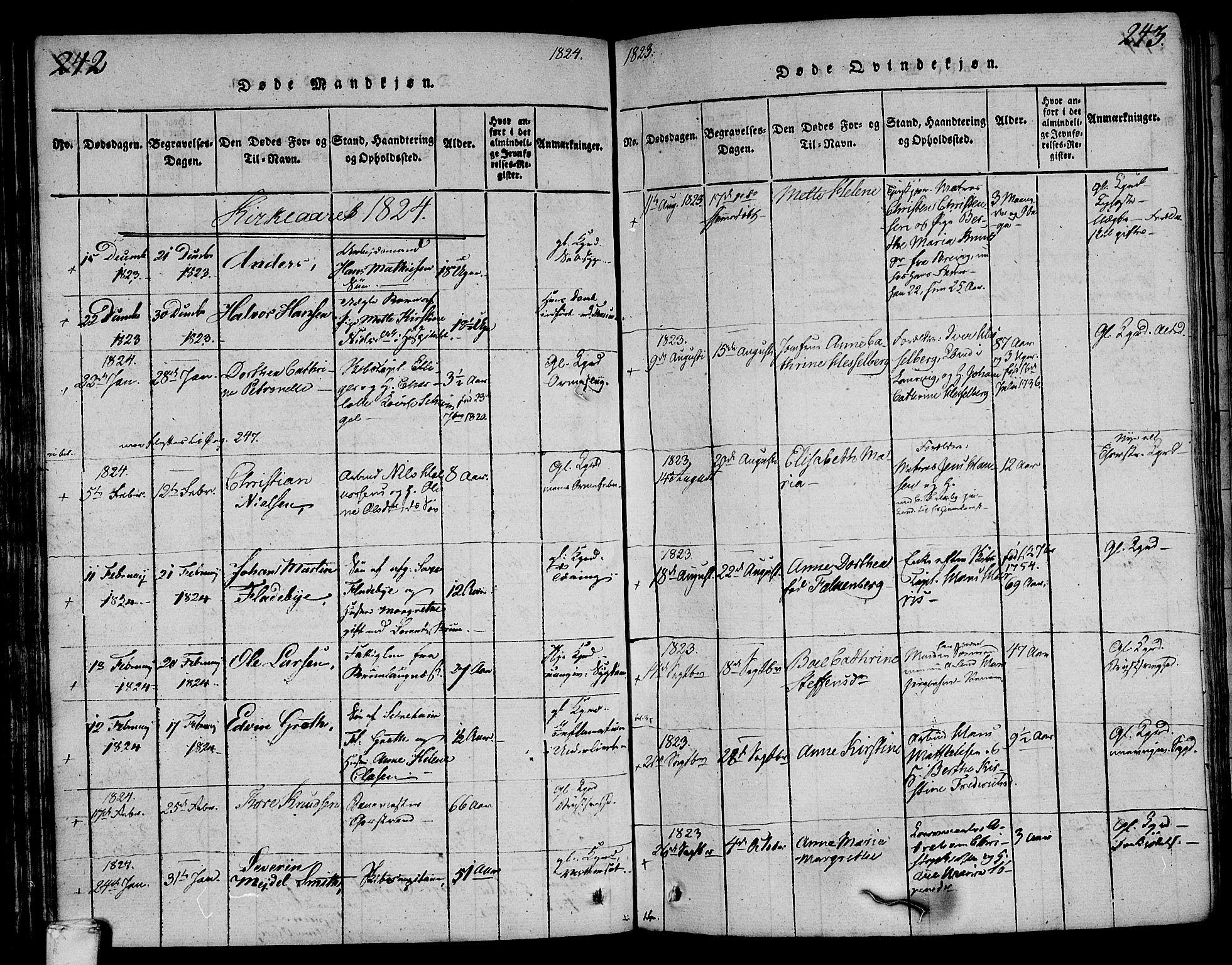 Larvik kirkebøker, SAKO/A-352/F/Fa/L0001: Parish register (official) no. I 1, 1814-1825, p. 242-243